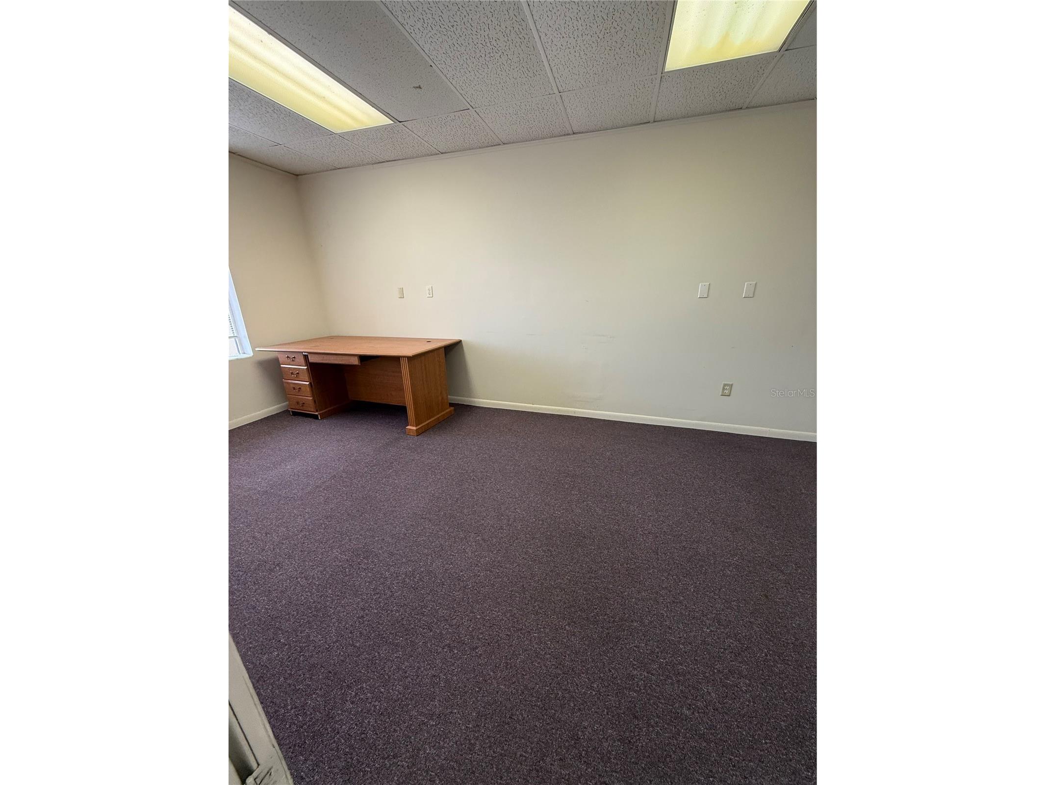 6736 Commerce Avenue Port Richey FL 34668 W7877505 image11