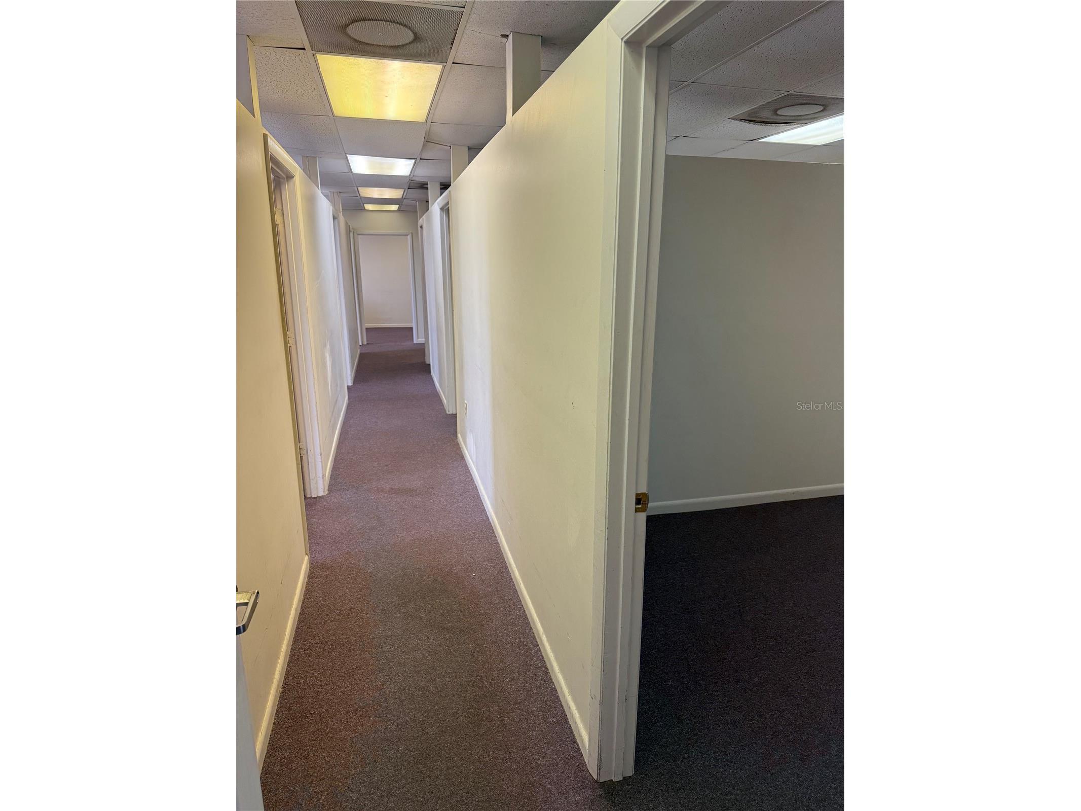 6736 Commerce Avenue Port Richey FL 34668 W7877505 image4