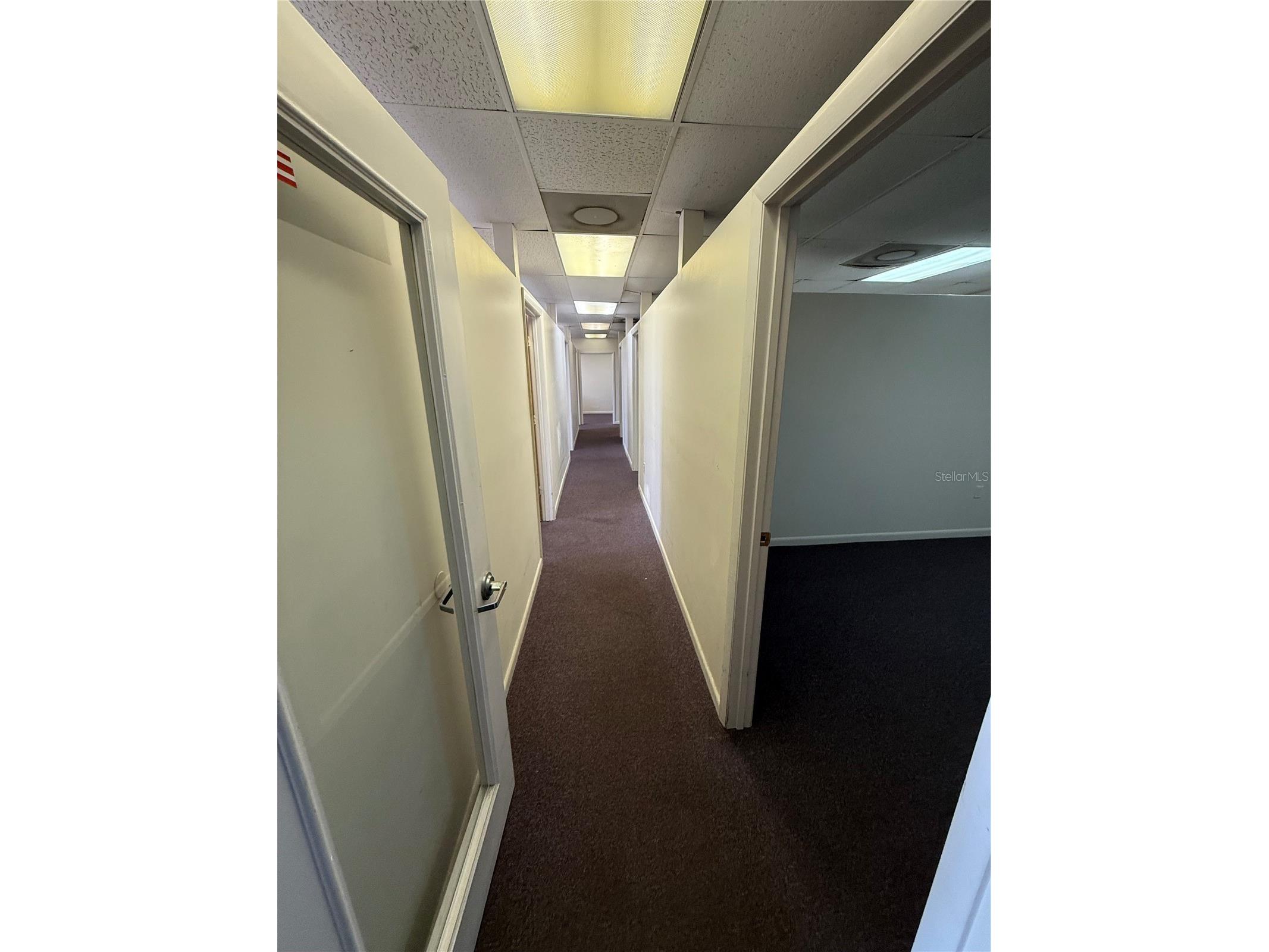 6736 Commerce Avenue Port Richey FL 34668 W7877505 image5