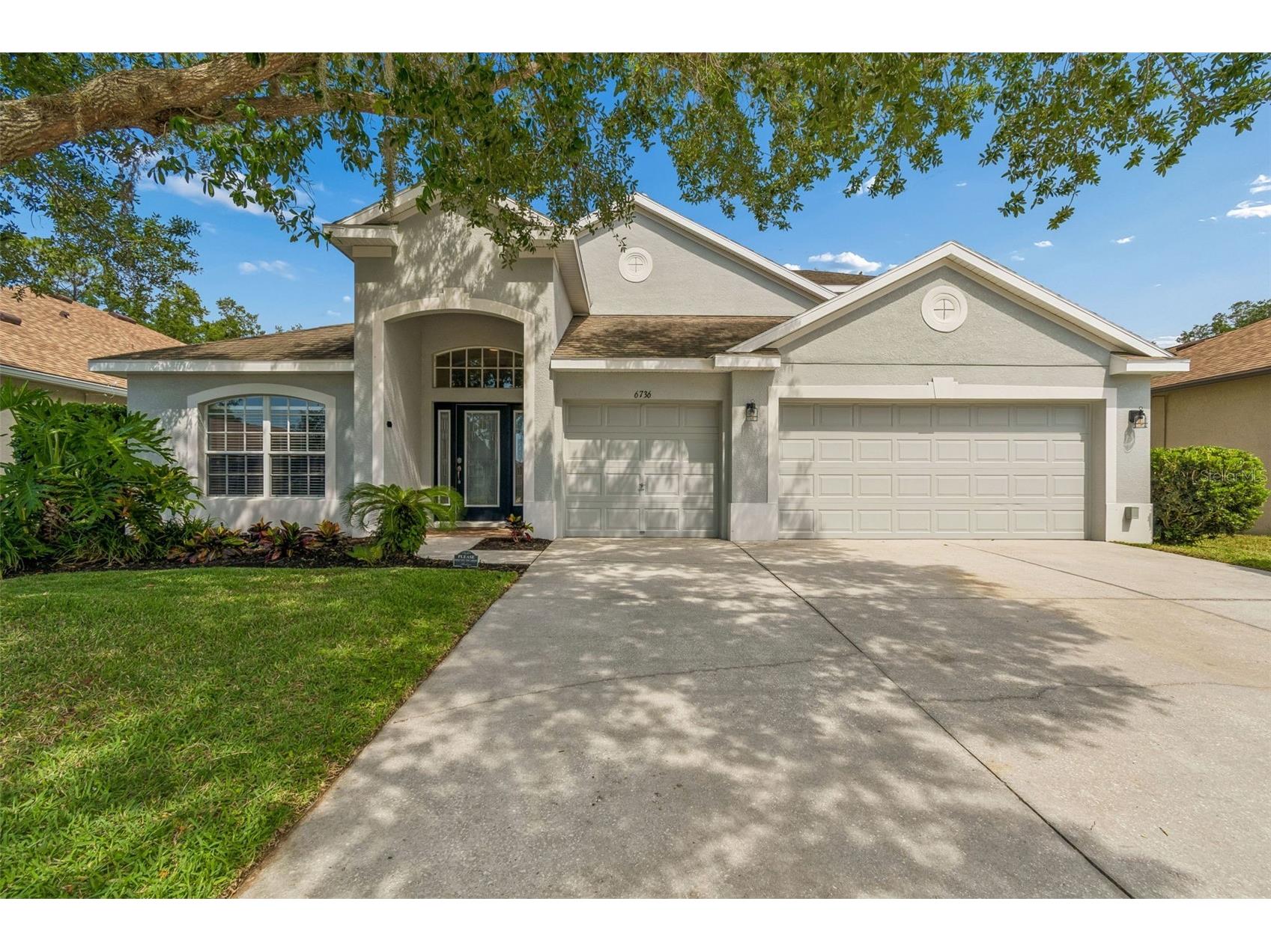 6736 Pine Springs Drive Wesley Chapel FL 33545 TB8505855 image1
