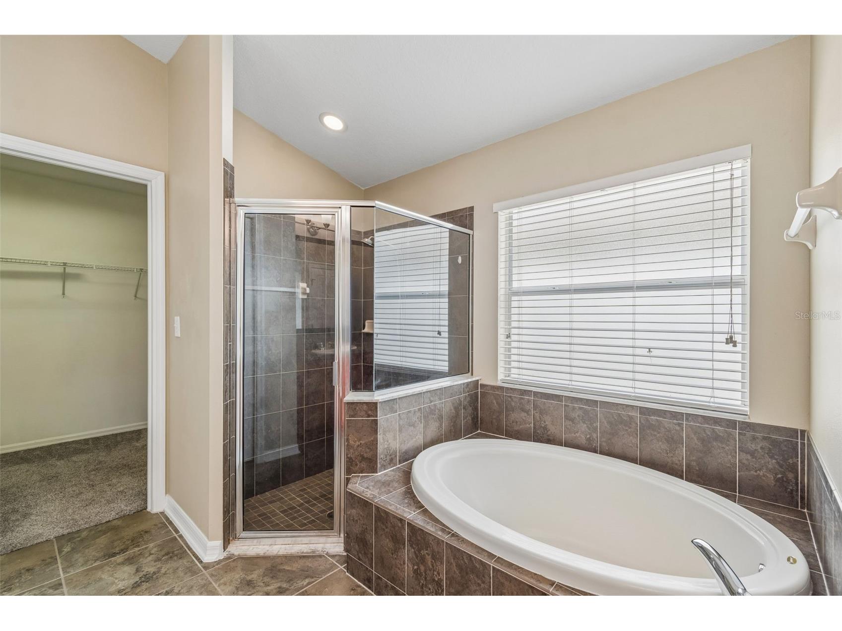 6736 Pine Springs Drive Wesley Chapel FL 33545 TB8505855 image27