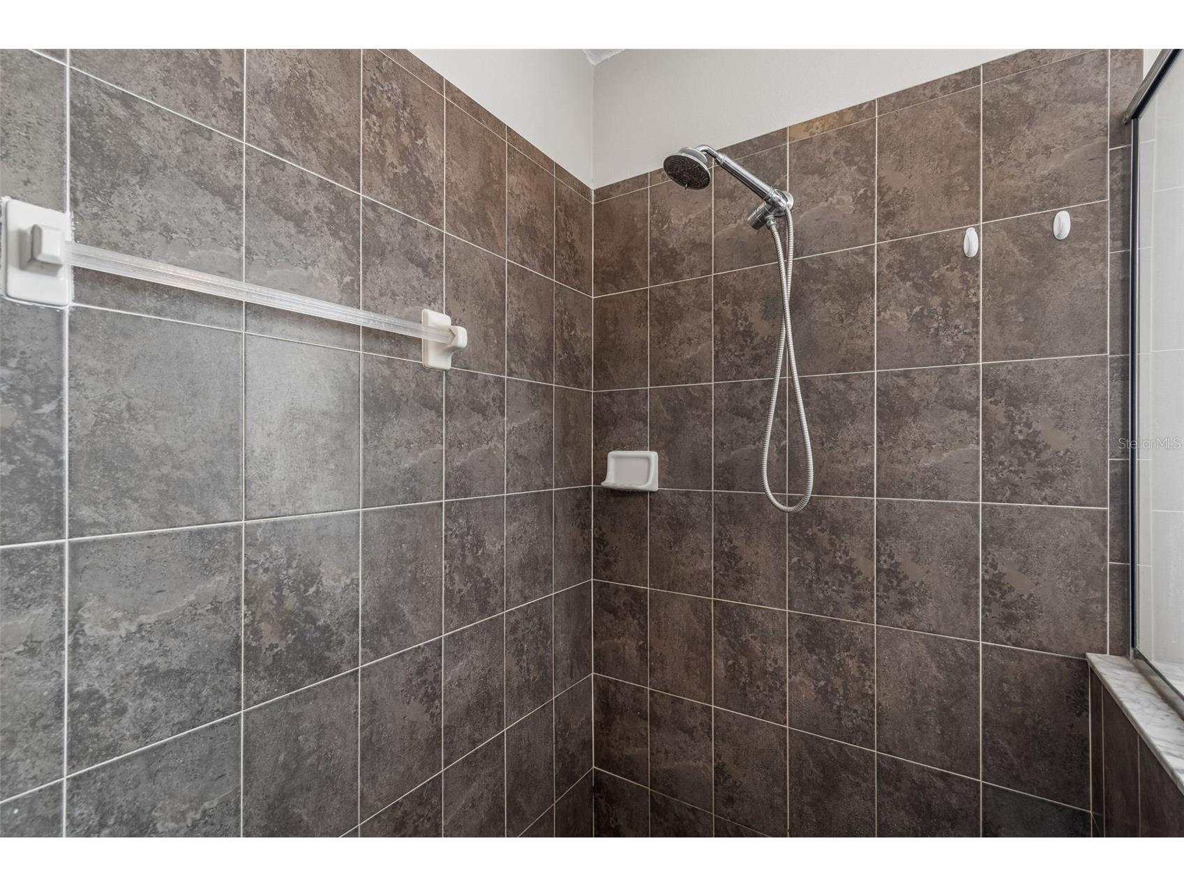 6736 Pine Springs Drive Wesley Chapel FL 33545 TB8505855 image28