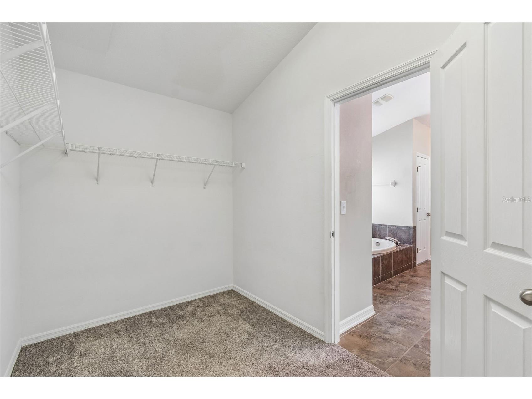 6736 Pine Springs Drive Wesley Chapel FL 33545 TB8505855 image29