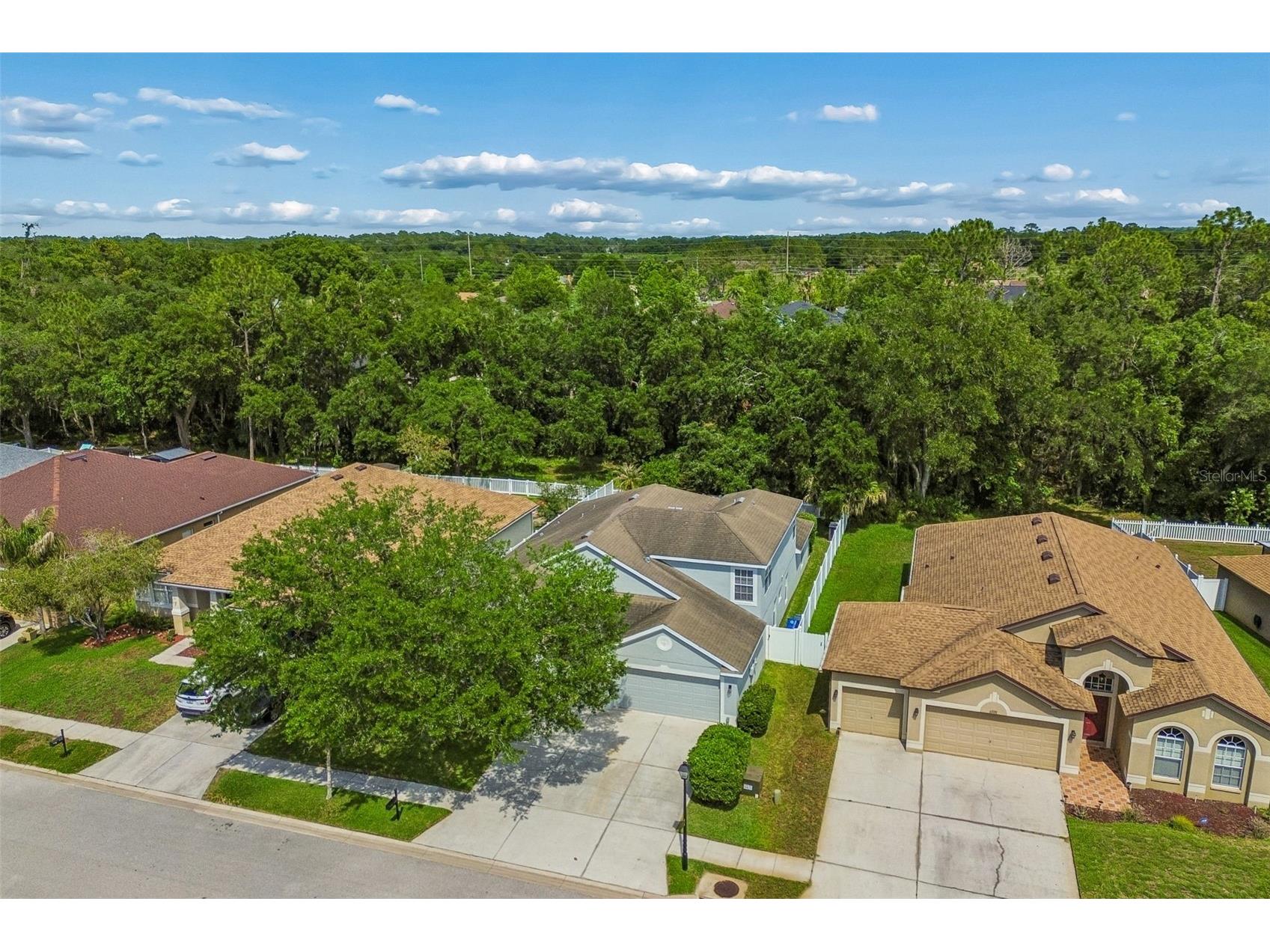 6736 Pine Springs Drive Wesley Chapel FL 33545 TB8505855 image56