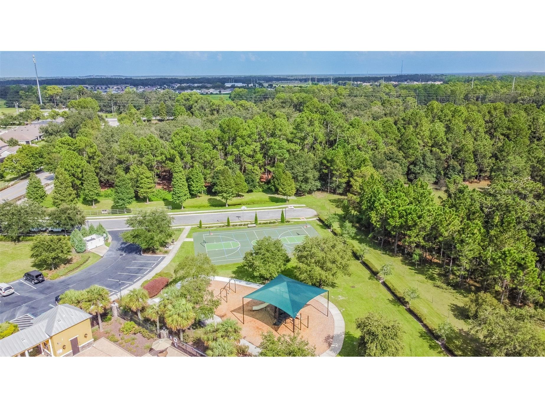 6736 Pine Springs Drive Wesley Chapel FL 33545 TB8505855 image58