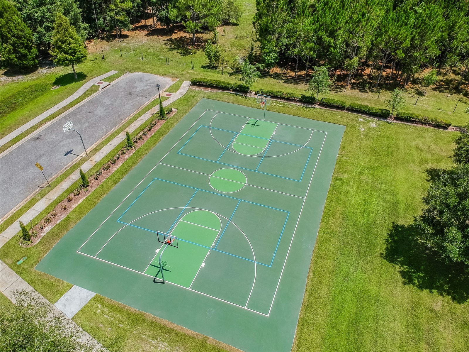 6736 Pine Springs Drive Wesley Chapel FL 33545 TB8505855 image59