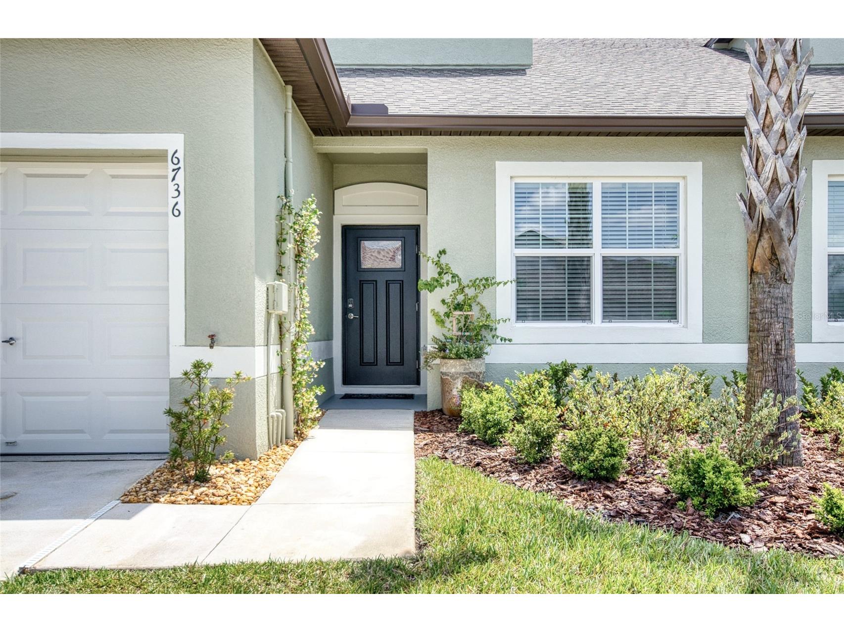 6736 Ripple Pond Loop Zephyrhills FL 33541 TB8490746 image1