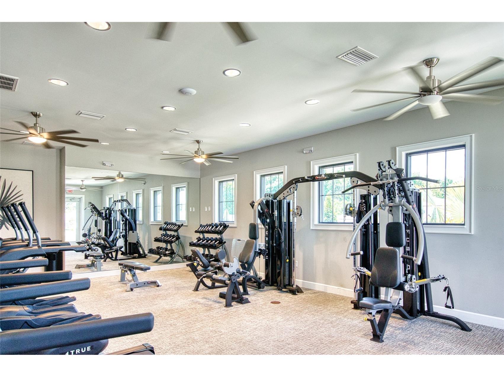 6736 Ripple Pond Loop Zephyrhills FL 33541 TB8490746 image31