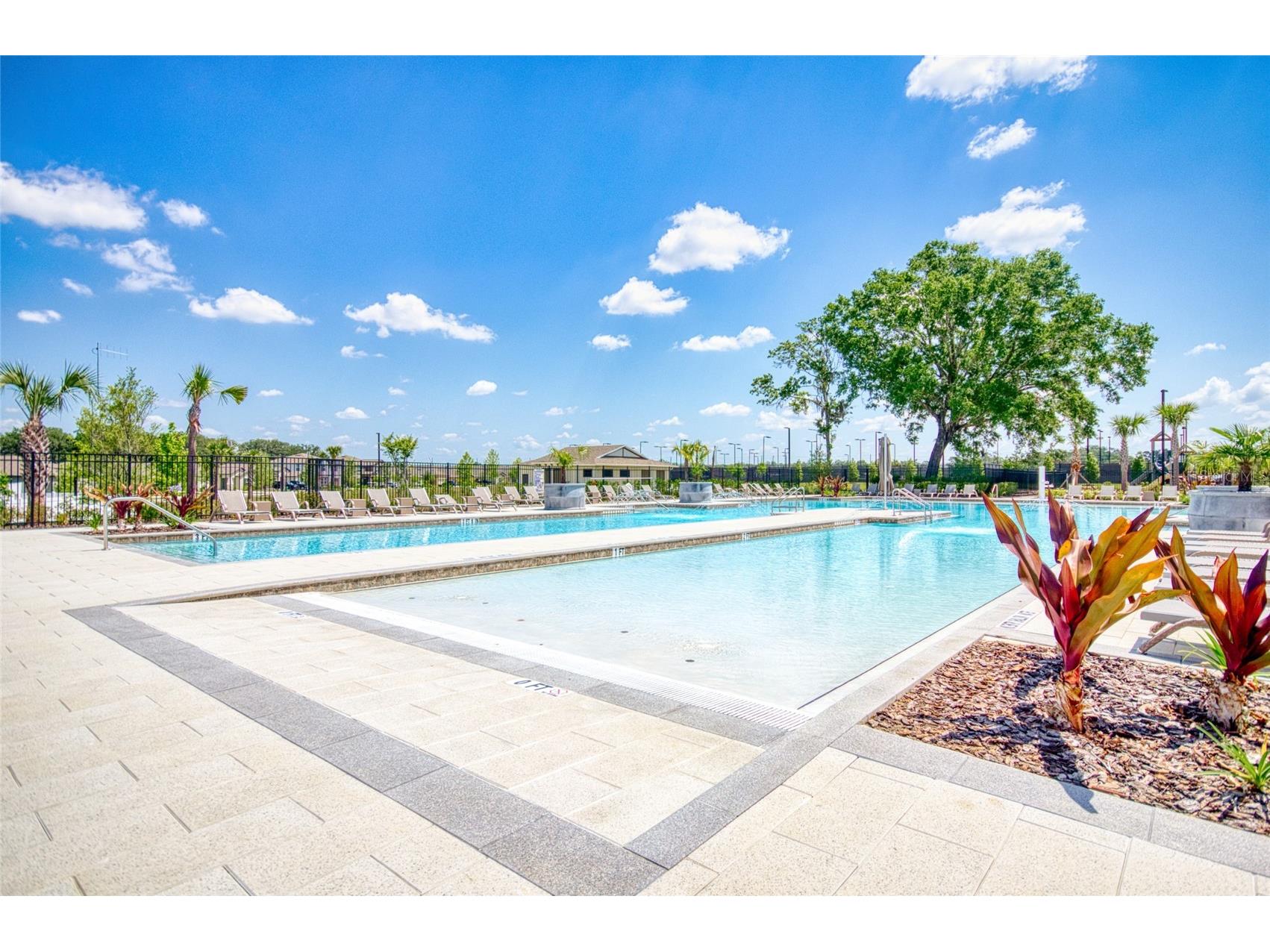 6736 Ripple Pond Loop Zephyrhills FL 33541 TB8490746 image35