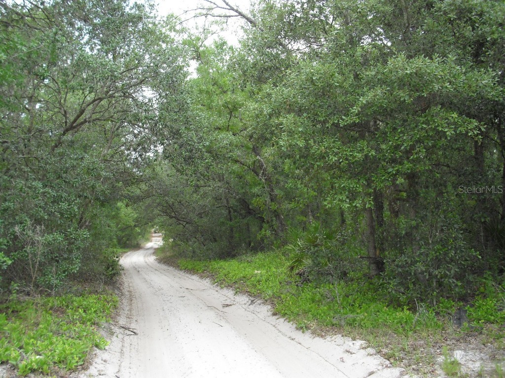 6737 SW 157th Lane Dunnellon FL 34432 OM658072 image1