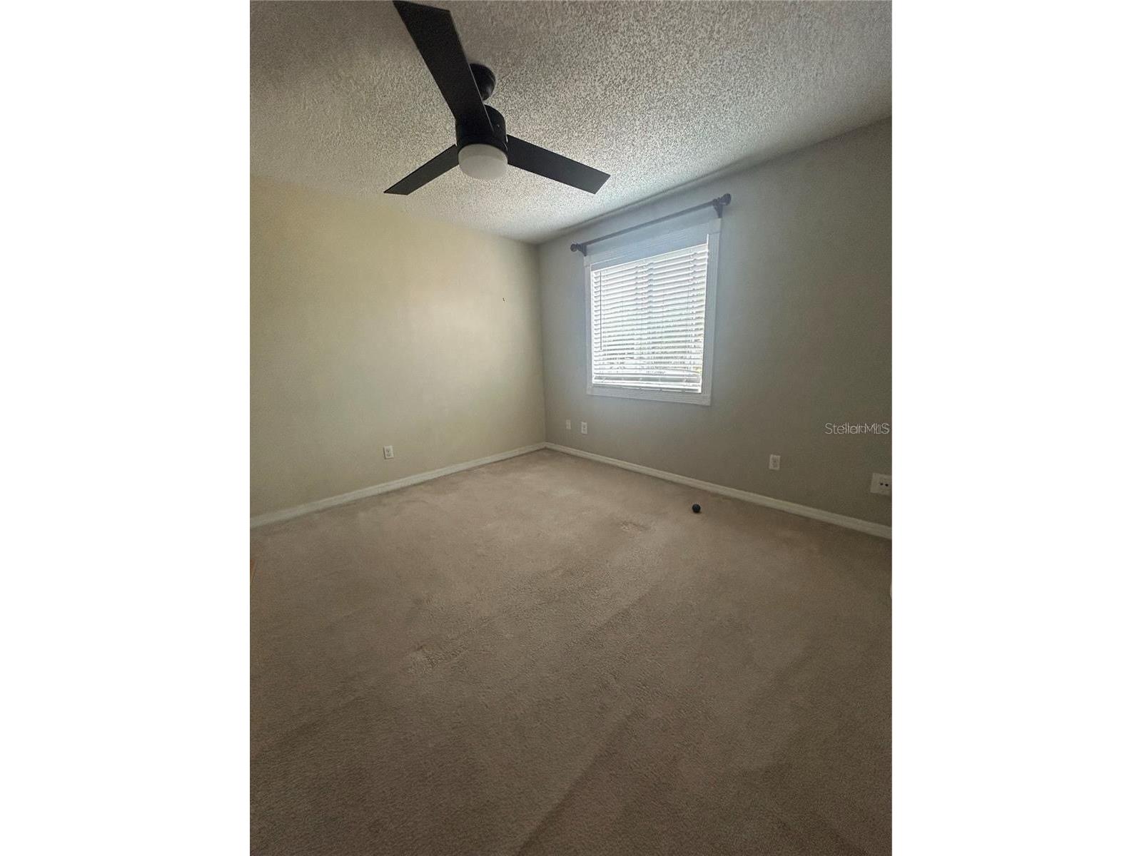 6738 Magnolia Pointe Circle Orlando FL 32810 O6417825 image14