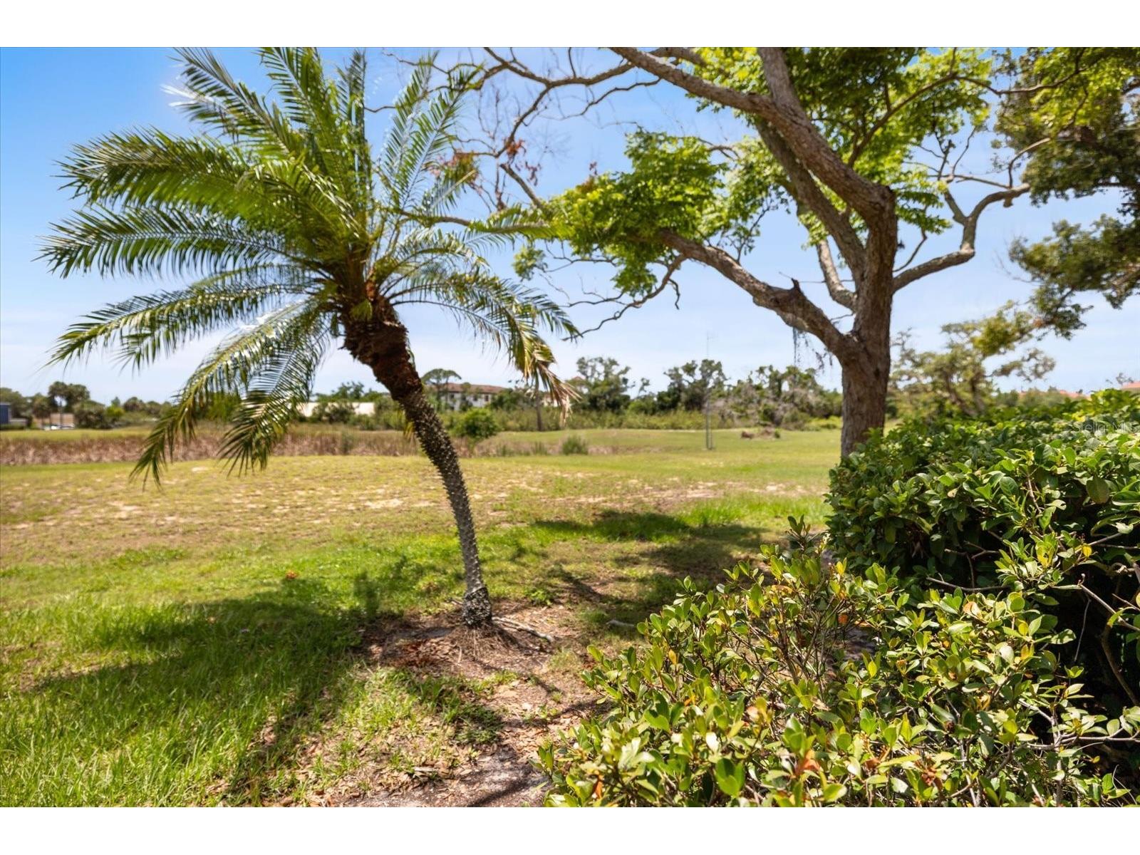 674 Bird Bay Circle #20 Venice FL 34285 N6144246 image8