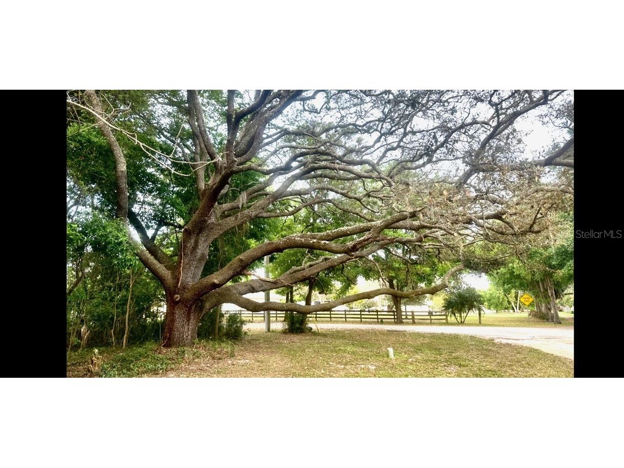 674 California Avenue Ocoee FL 34761 G5079017 image1