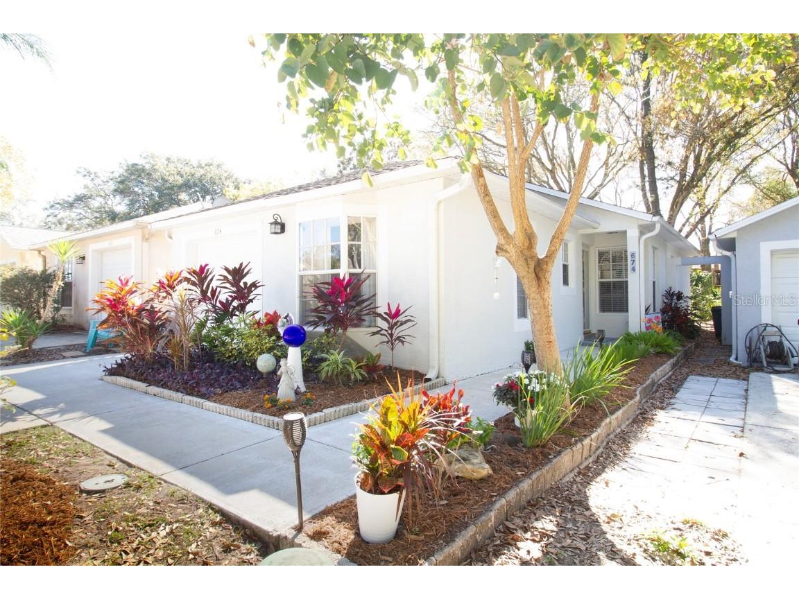 674 Channing Drive Palm Harbor FL 34684 U8228679 image1
