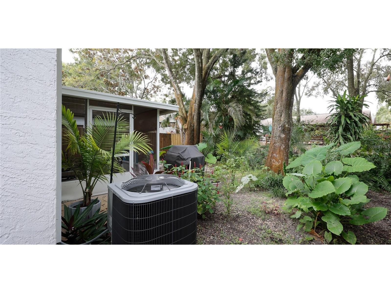 674 Channing Drive Palm Harbor FL 34684 TB8468629 image1