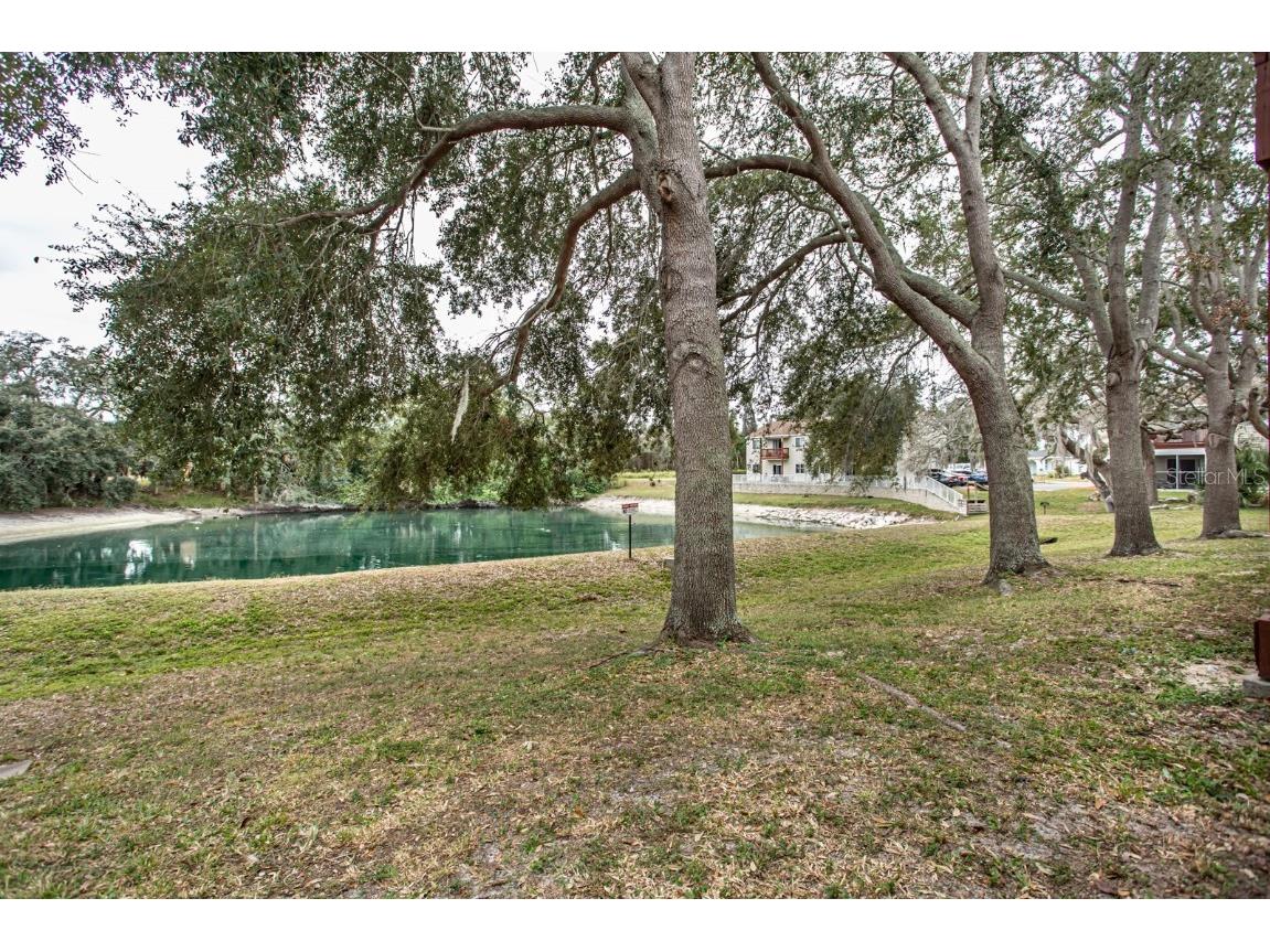 6740 Moonglow Drive #101 Port Richey FL 34668 W7881743 image31