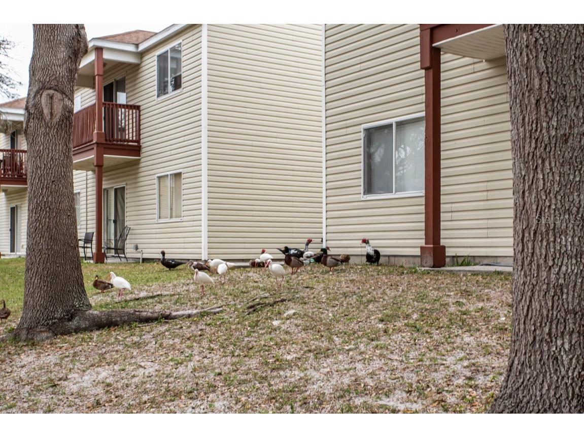 6740 Moonglow Drive #101 Port Richey FL 34668 W7881743 image36