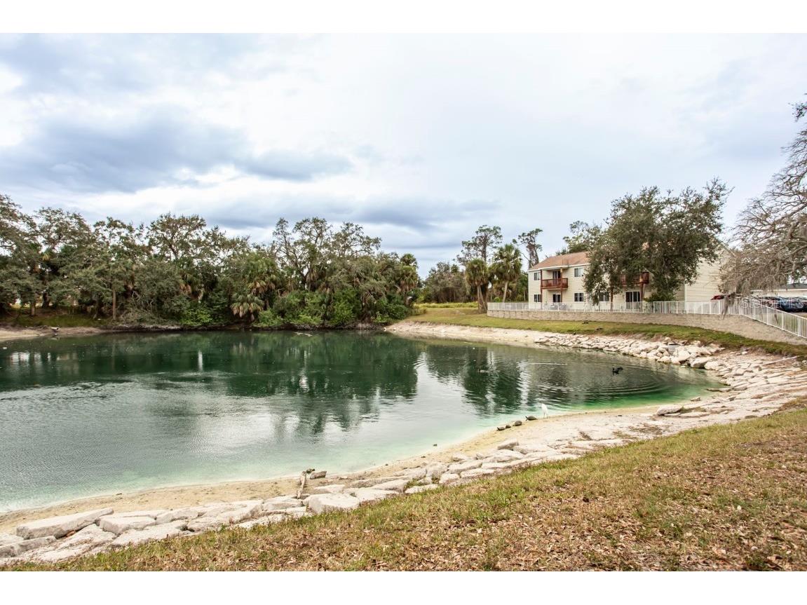 6740 Moonglow Drive #101 Port Richey FL 34668 W7881743 image37