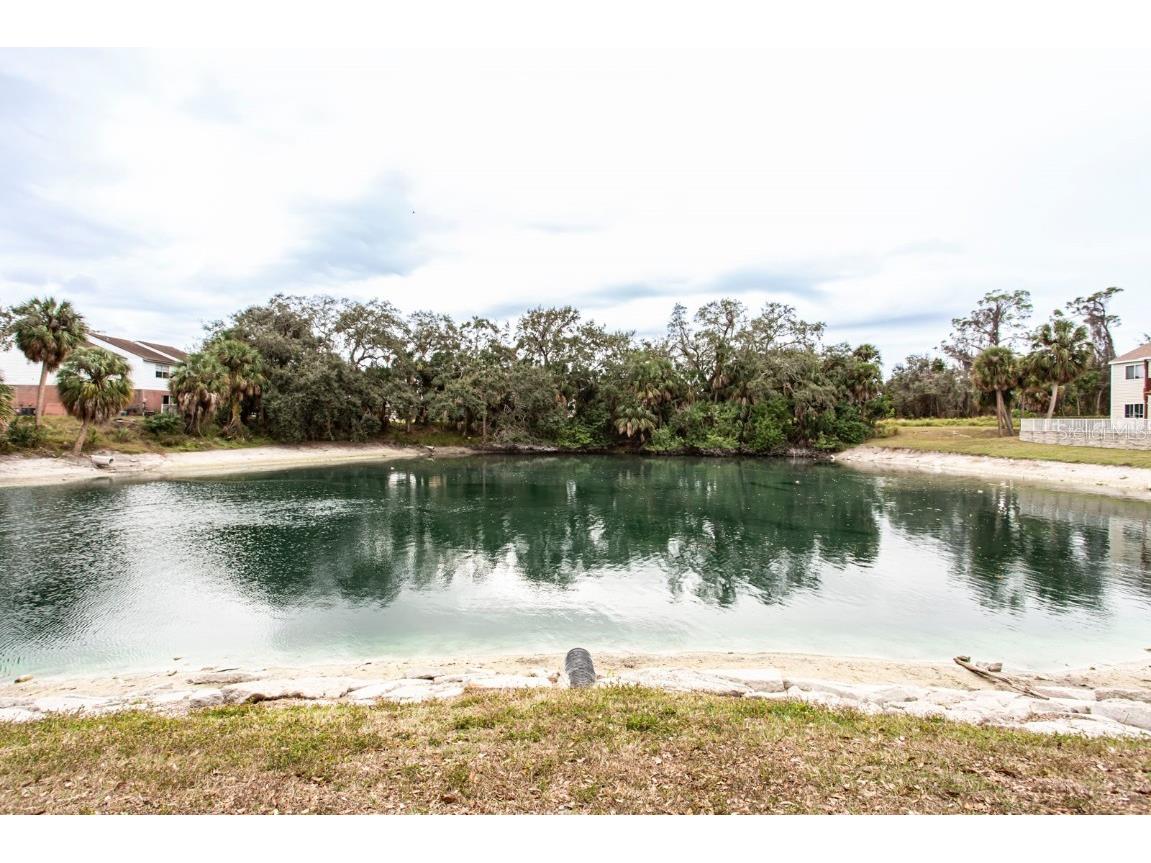 6740 Moonglow Drive #101 Port Richey FL 34668 W7881743 image39