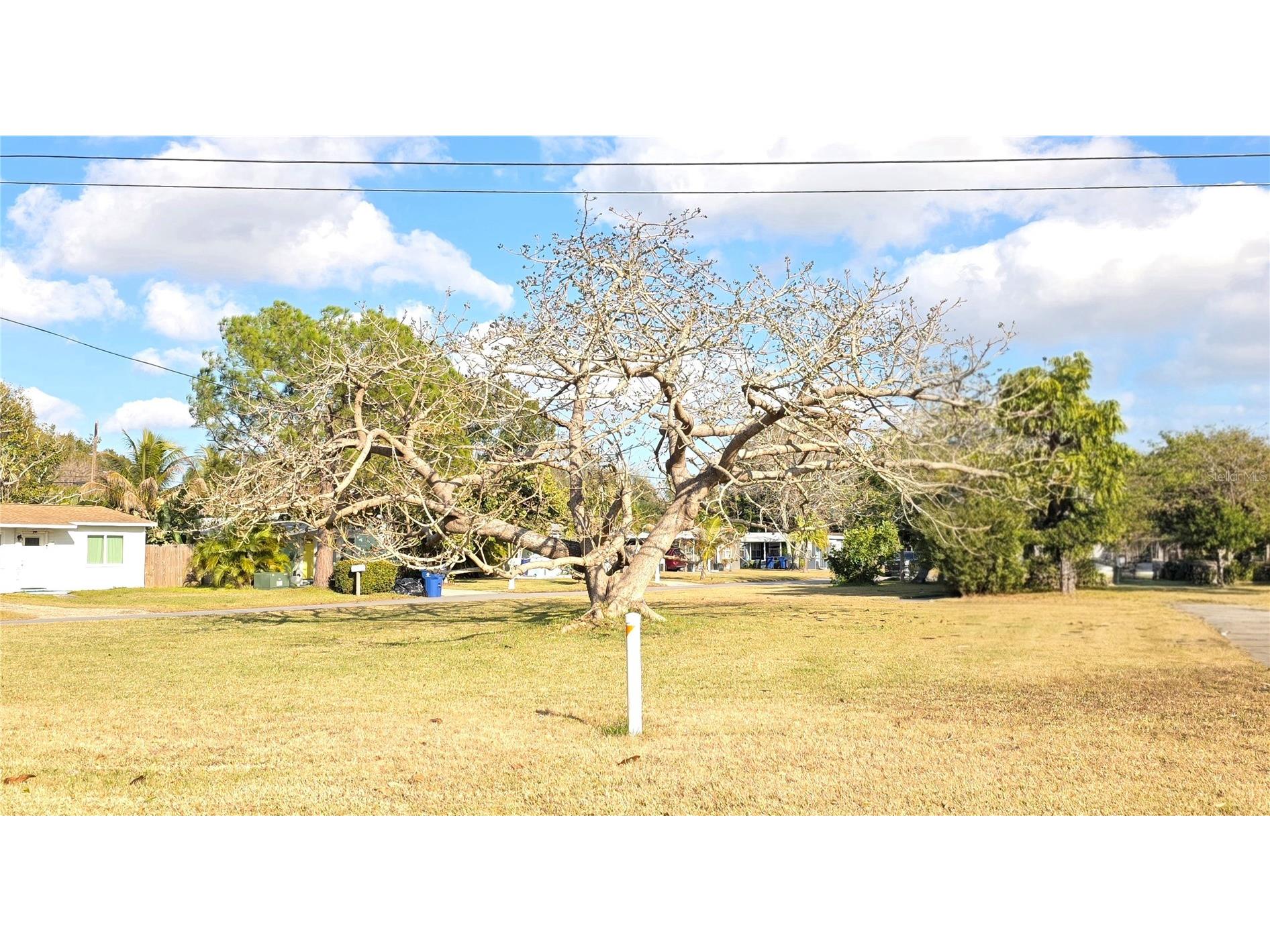 6740 Park Street S South Pasadena FL 33707 TB8472426 image5