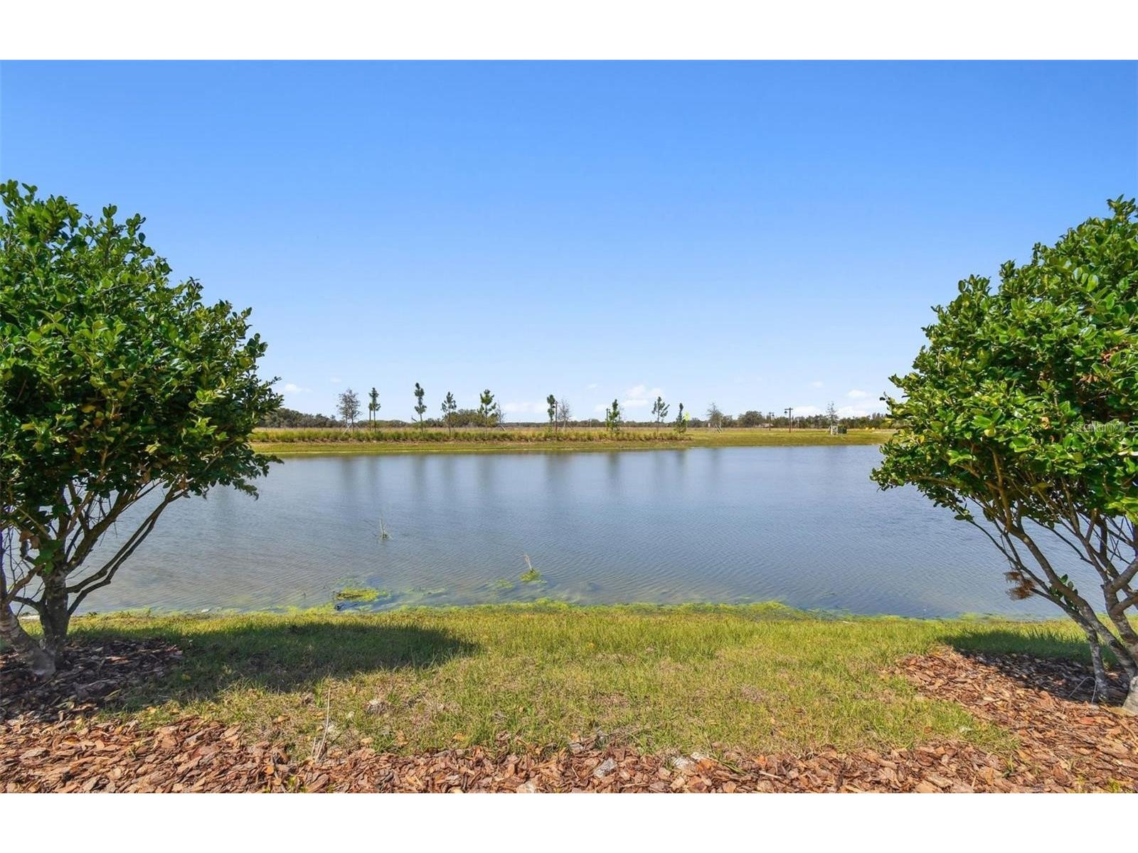 6741 Michael Favor Way Wesley Chapel FL 33545 TB8520116 image5
