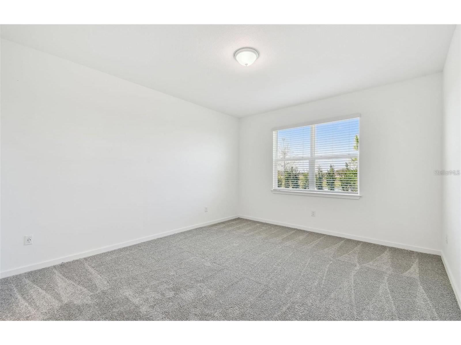 6741 Michael Favor Way Wesley Chapel FL 33545 TB8520116 image7