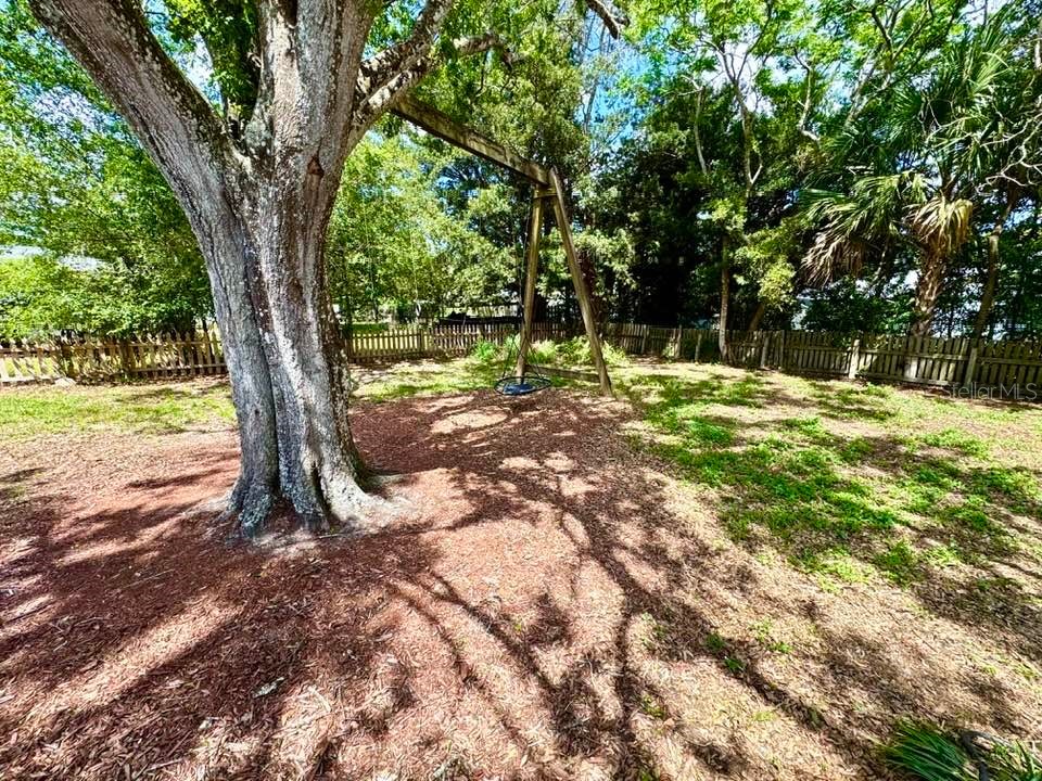 6741 Sadler Road Mount Dora FL 32757 O6392651 image24