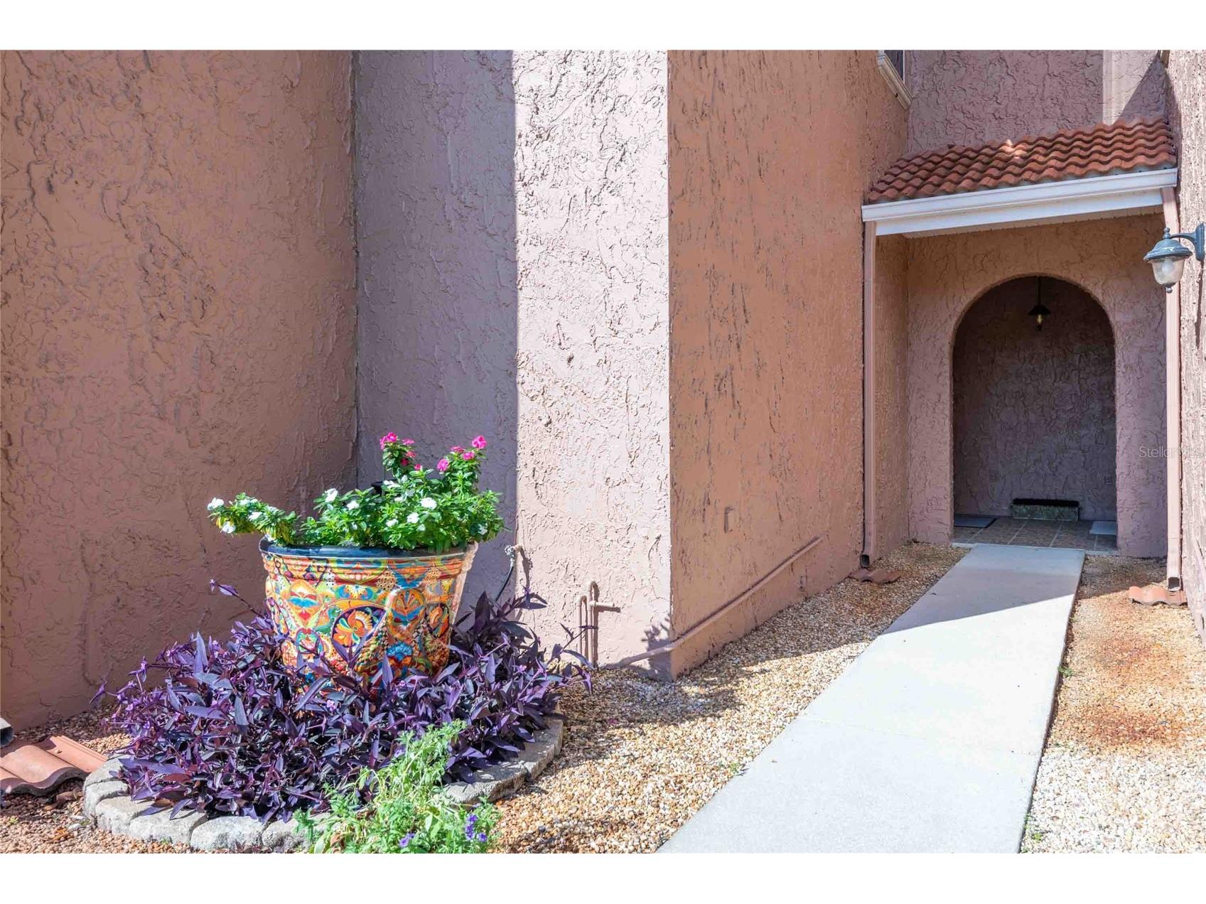 6741 Vista Del Lago Avenue Land O Lakes FL 34637 TB8490904 image2