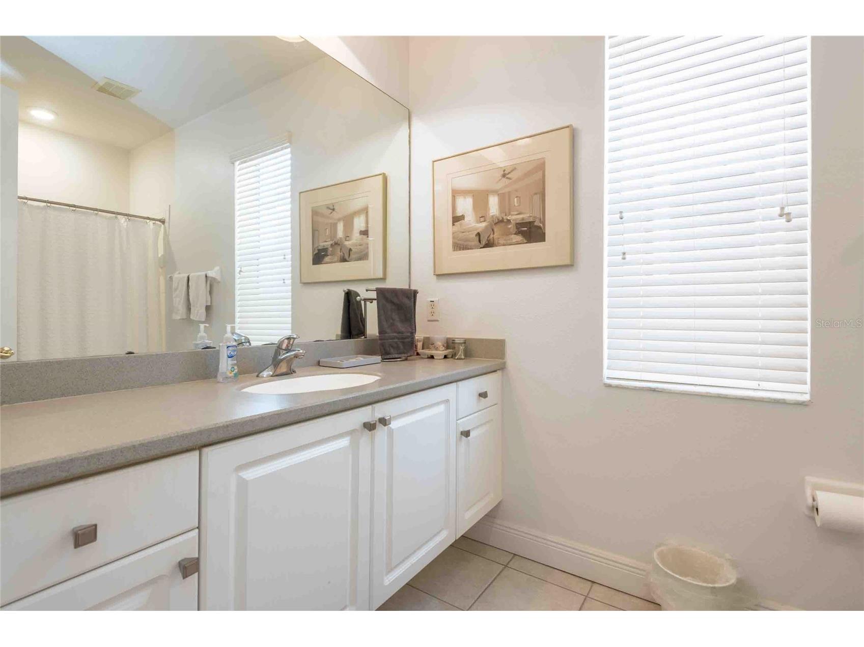 6741 Vista Del Lago Avenue Land O Lakes FL 34637 TB8490904 image38