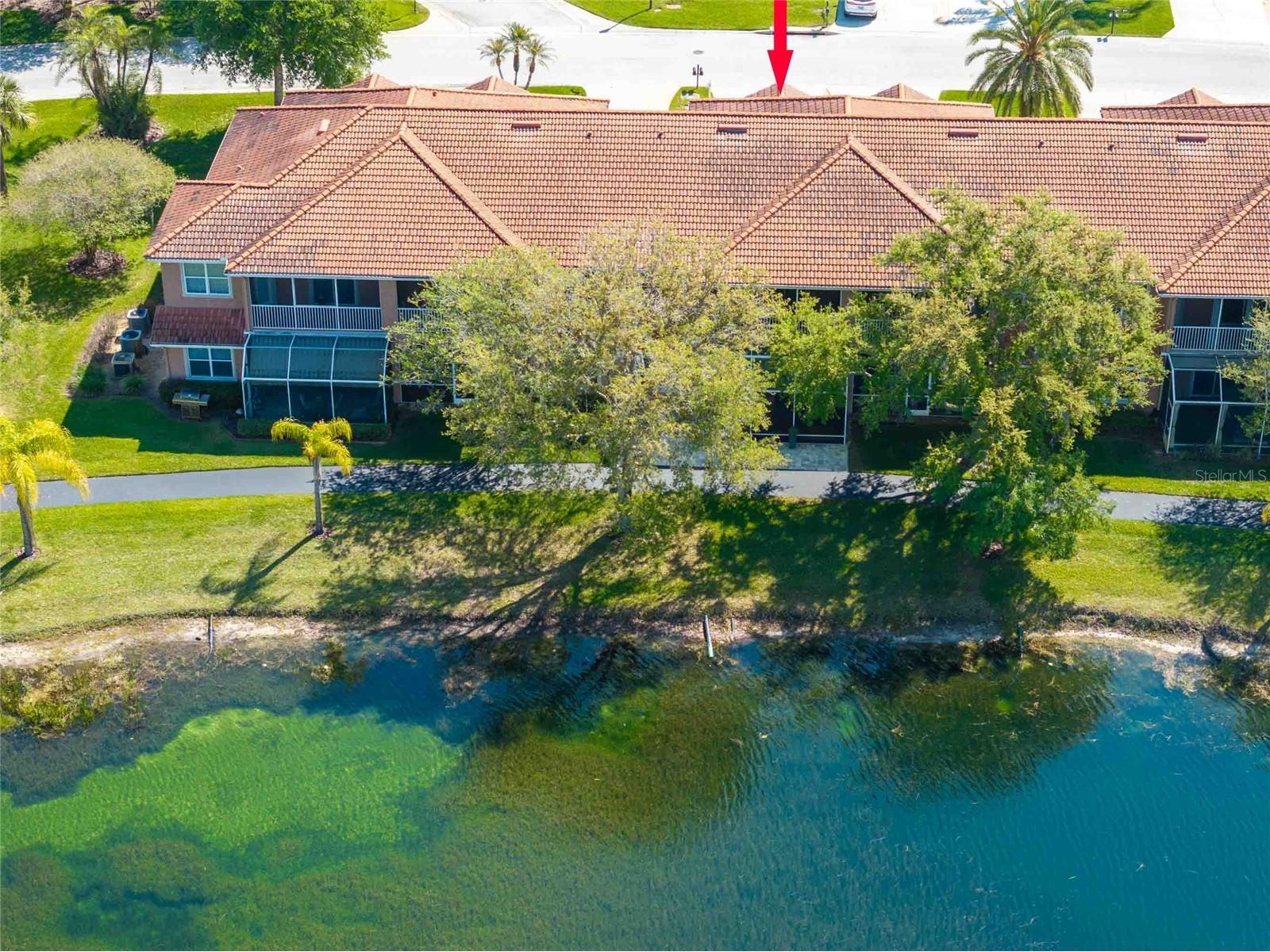 6741 Vista Del Lago Avenue Land O Lakes FL 34637 TB8490904 image4