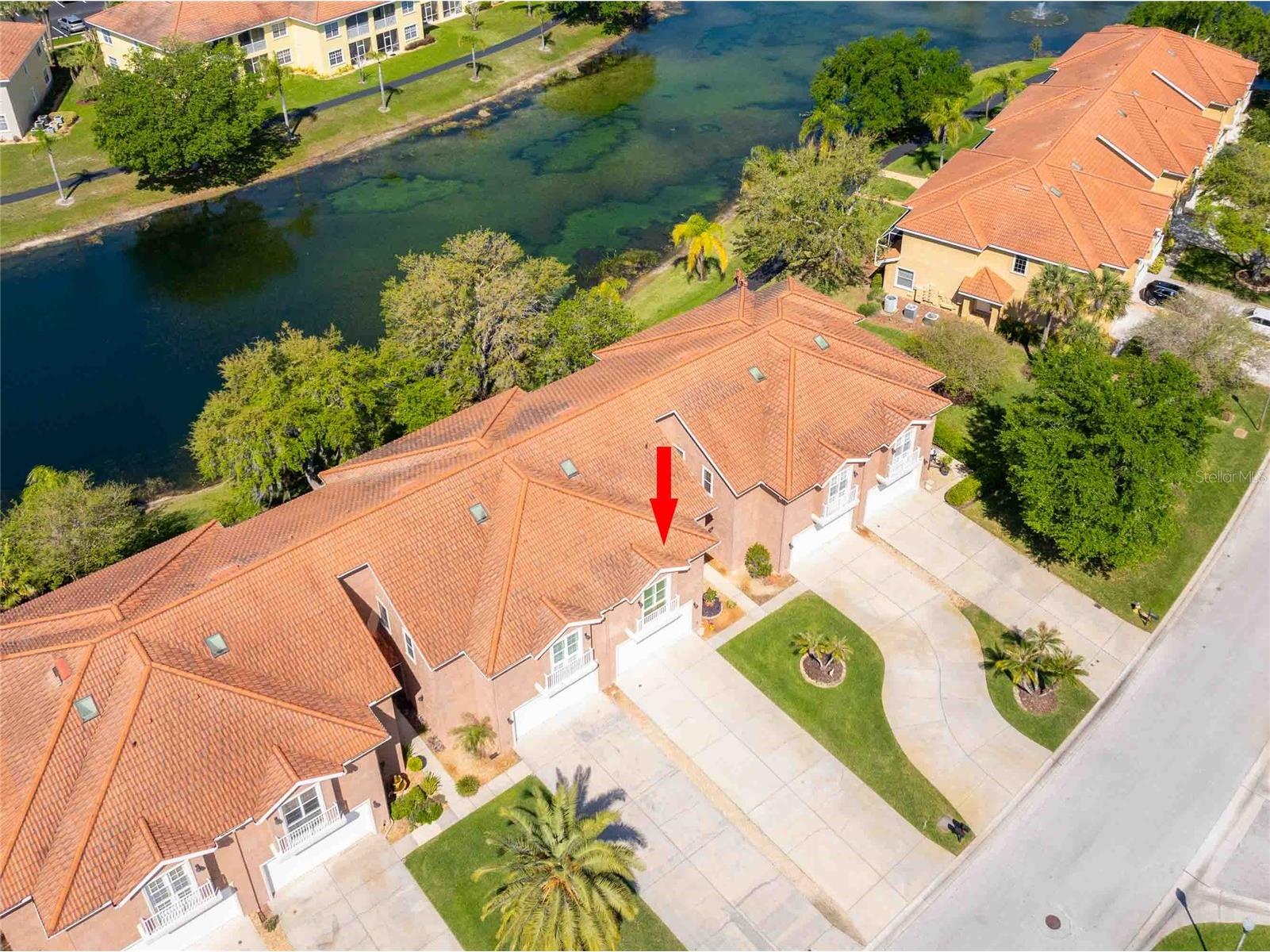 6741 Vista Del Lago Avenue Land O Lakes FL 34637 TB8490904 image52