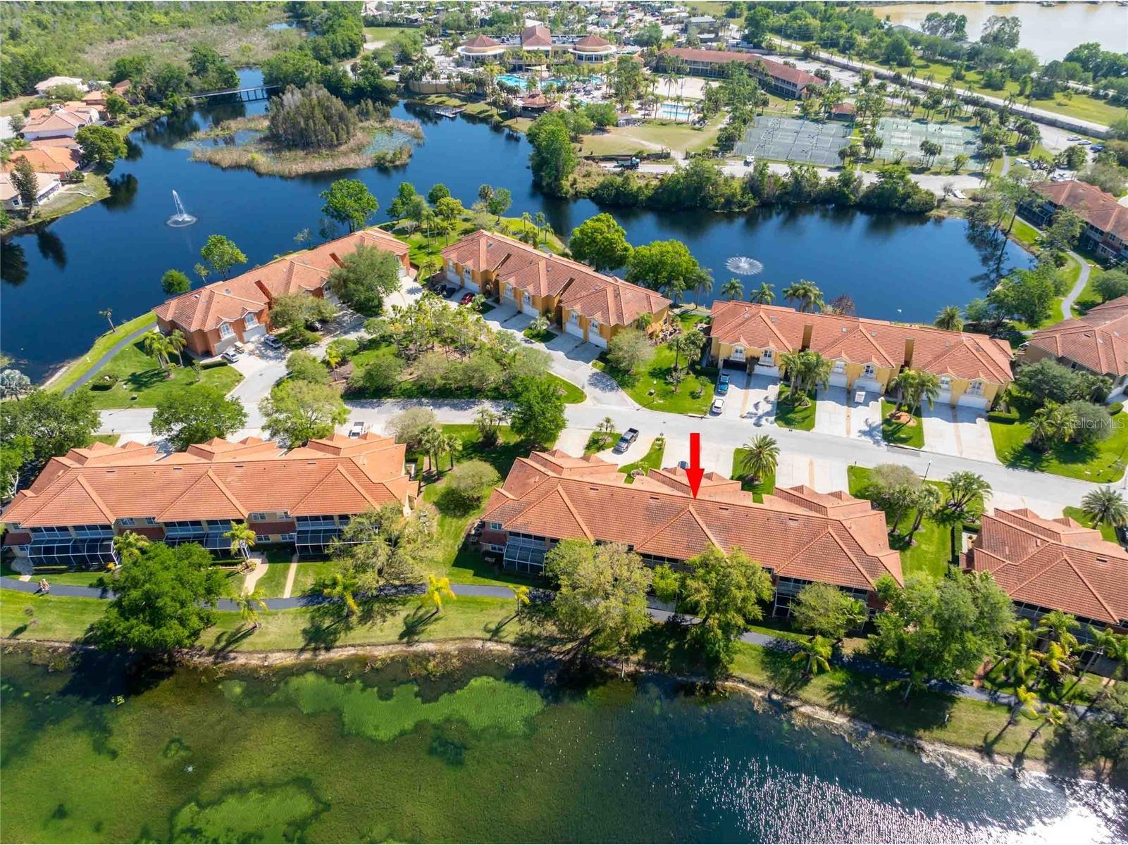 6741 Vista Del Lago Avenue Land O Lakes FL 34637 TB8490904 image53
