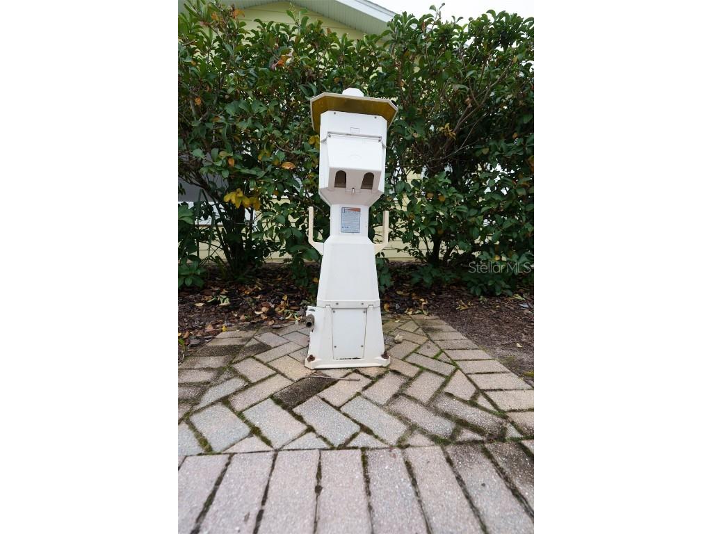 6742 Amanda Vista Circle Land O Lakes FL 34637 TB8346101 image13