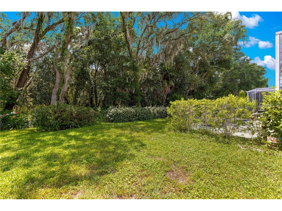 6742 SW 117th Street Ocala FL 34476 OM707173 image42