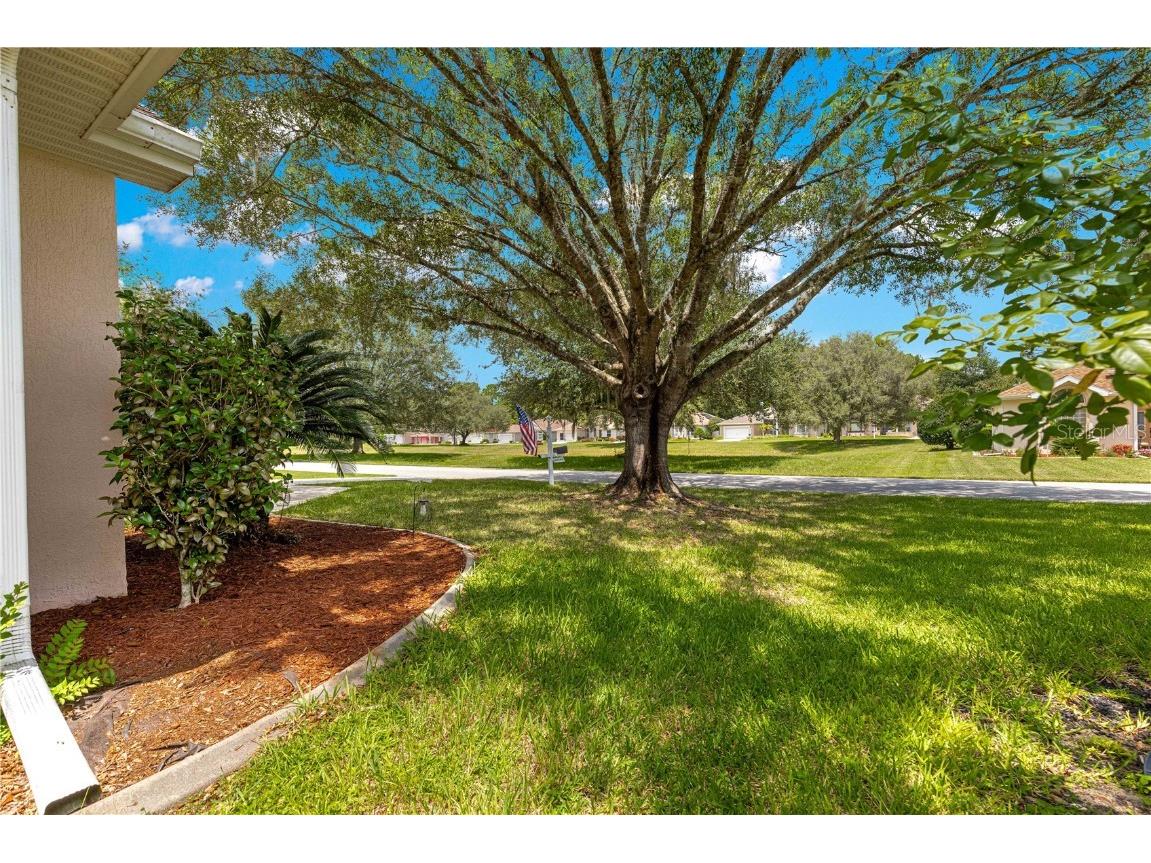 6742 SW 117th Street Ocala FL 34476 OM707173 image45