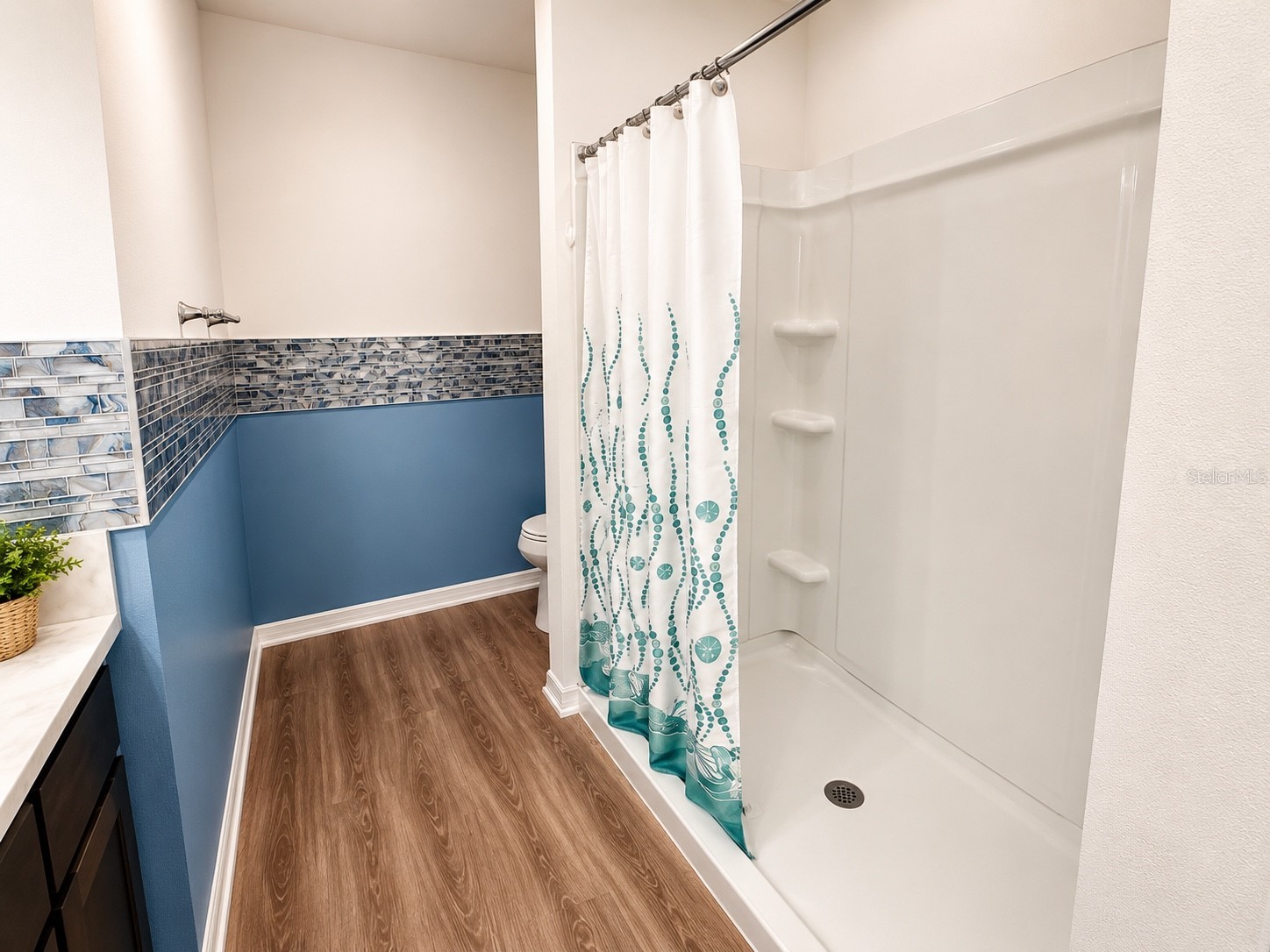 6743 Mary Loop The Villages FL 34762 G5112653 image27