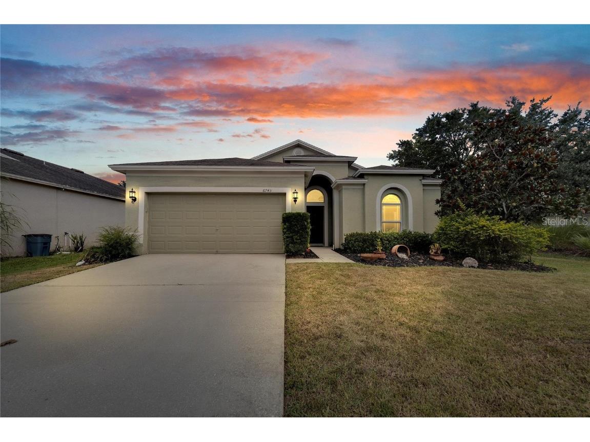 6743 Wild Elm Court Wesley Chapel FL 33545 T3468672 image1