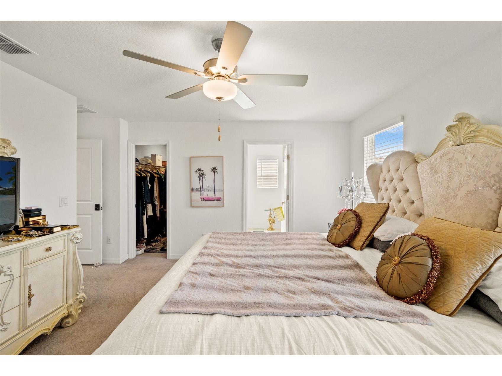 6744 Back Forty Loop Zephyrhills FL 33541 W7882278 image23