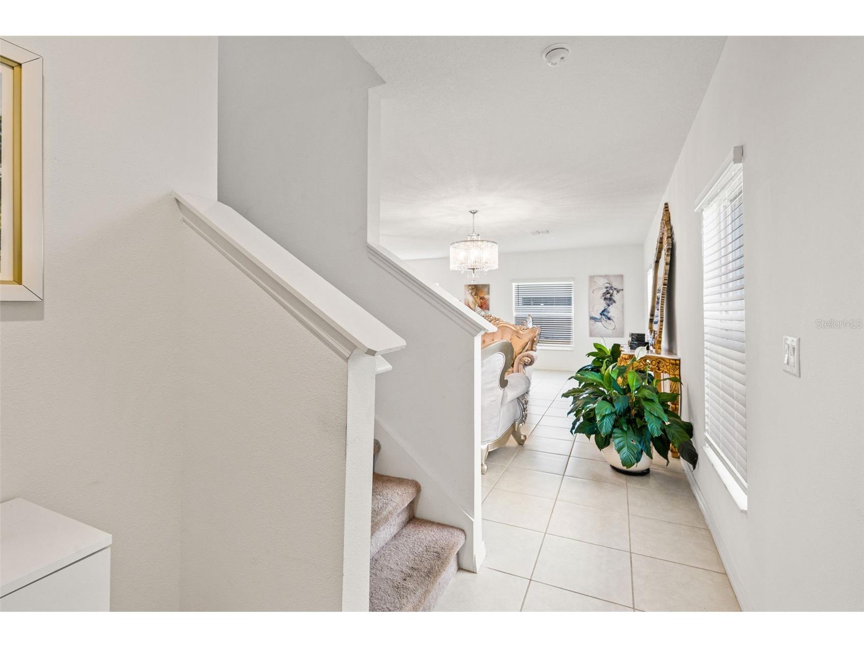 6744 Back Forty Loop Zephyrhills FL 33541 W7882278 image5