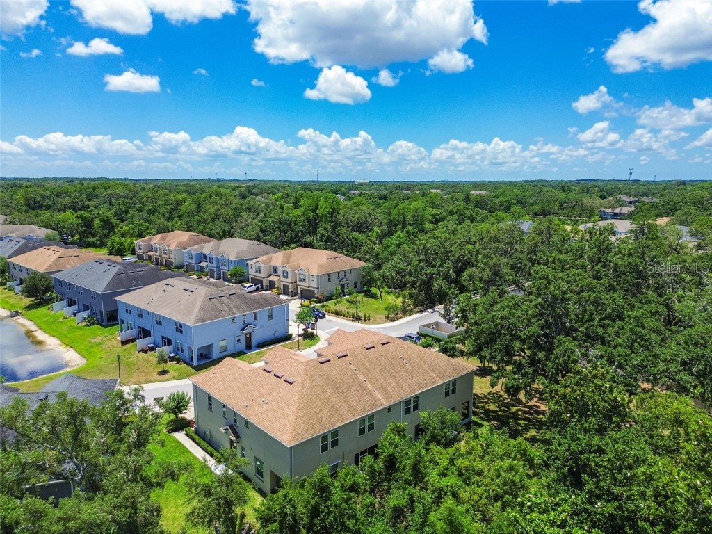 6745 Citrus Creek Lane Tampa FL 33625 TB8386307 image52