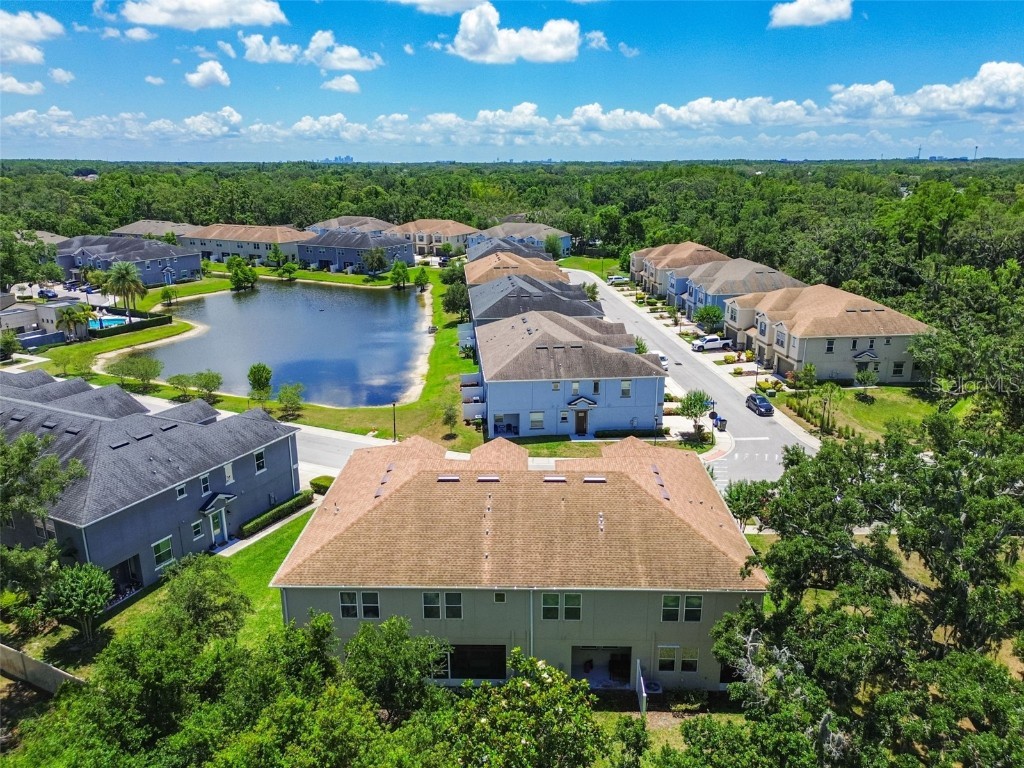 6745 Citrus Creek Lane Tampa FL 33625 TB8386307 image53