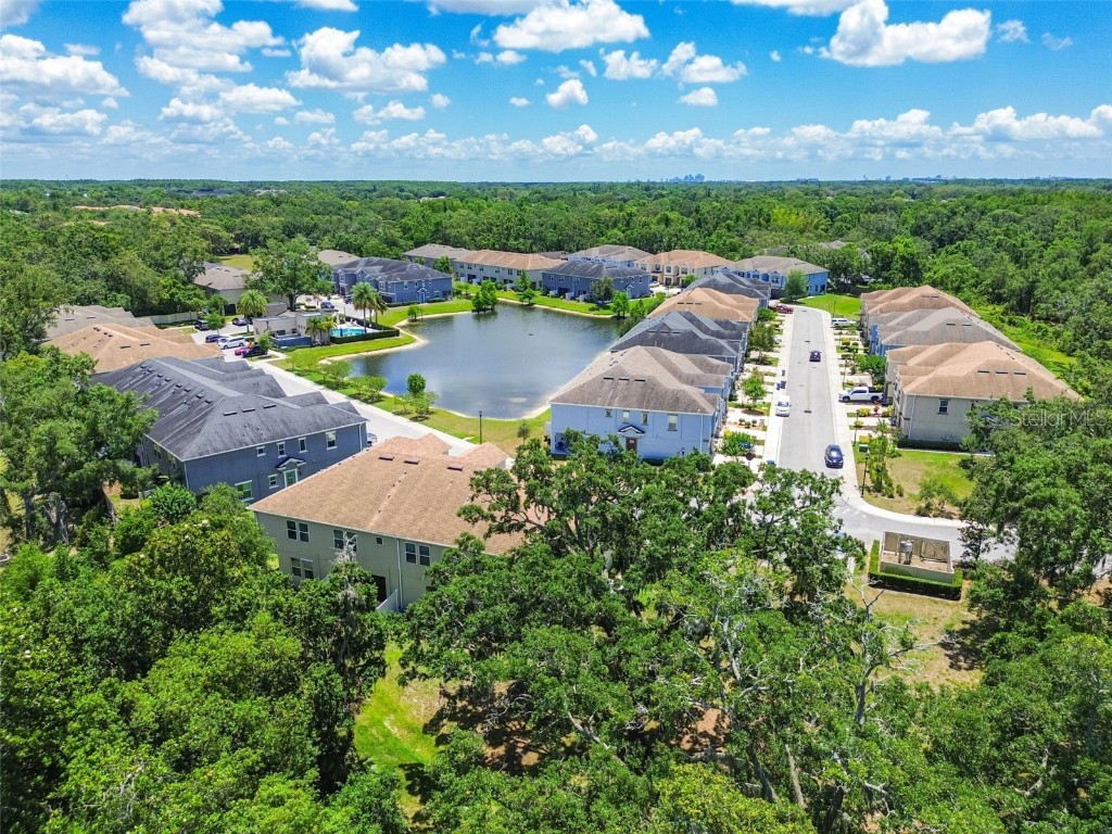 6745 Citrus Creek Lane Tampa FL 33625 TB8386307 image54