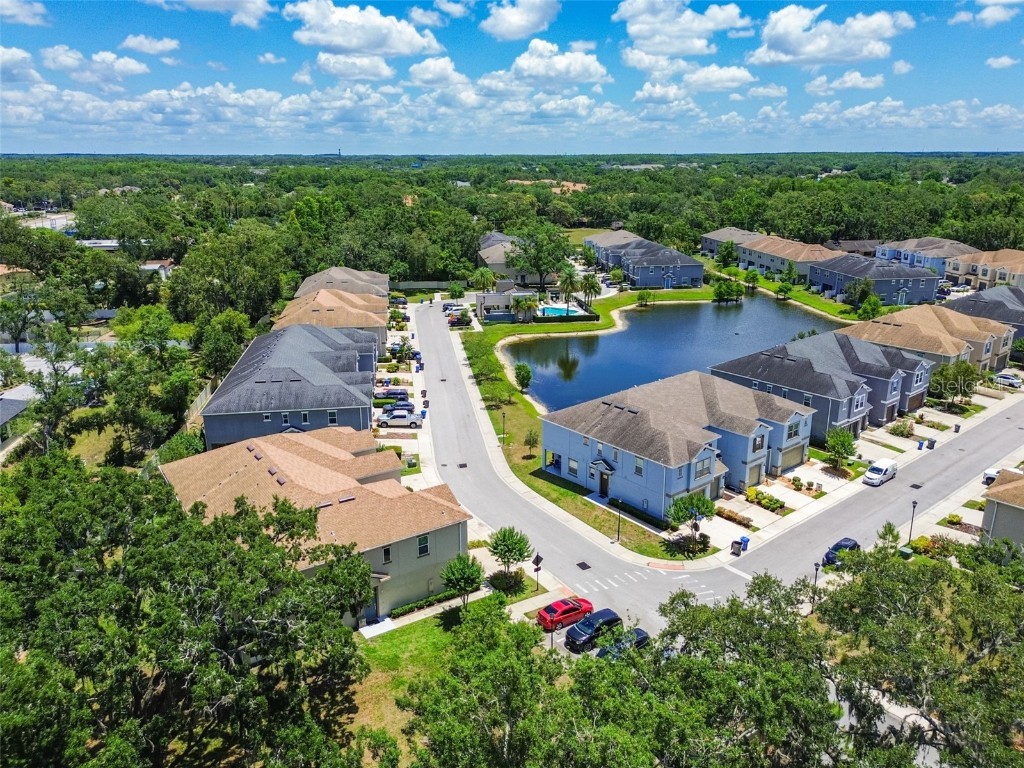 6745 Citrus Creek Lane Tampa FL 33625 TB8386307 image55