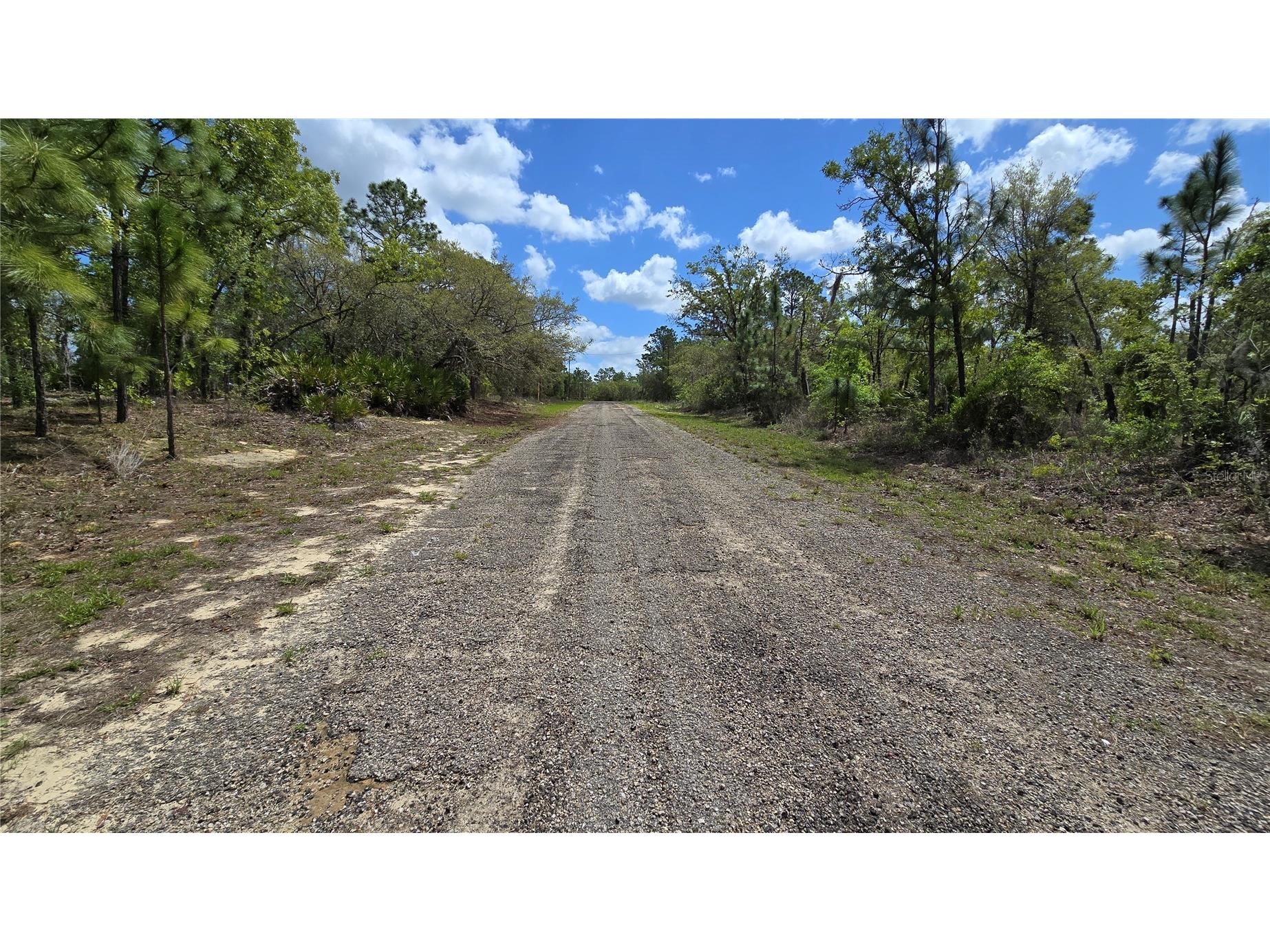 6745 N Darlington Drive Dunnellon FL 34434 OM704442 image10
