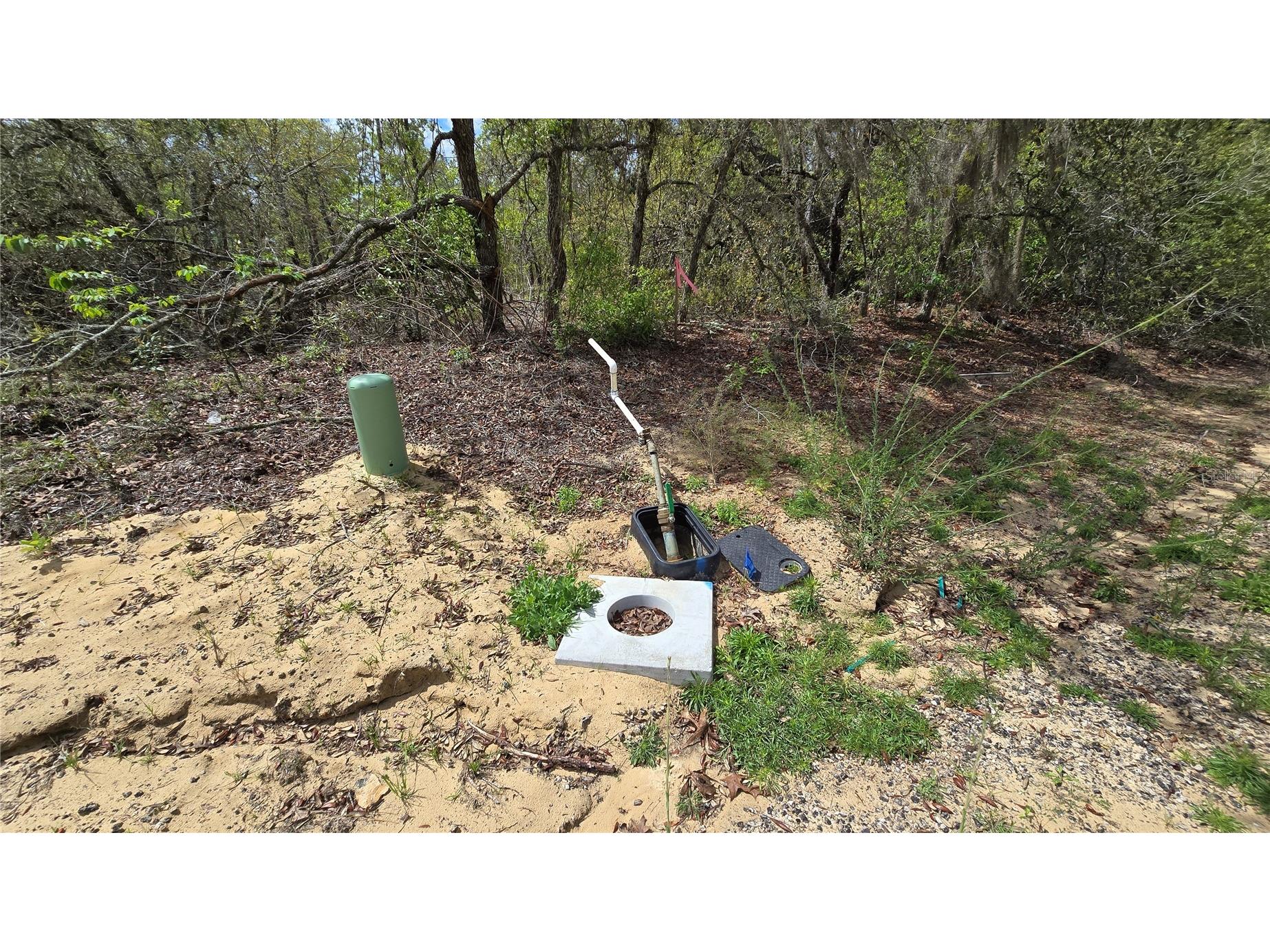 6745 N Darlington Drive Dunnellon FL 34434 OM704442 image11