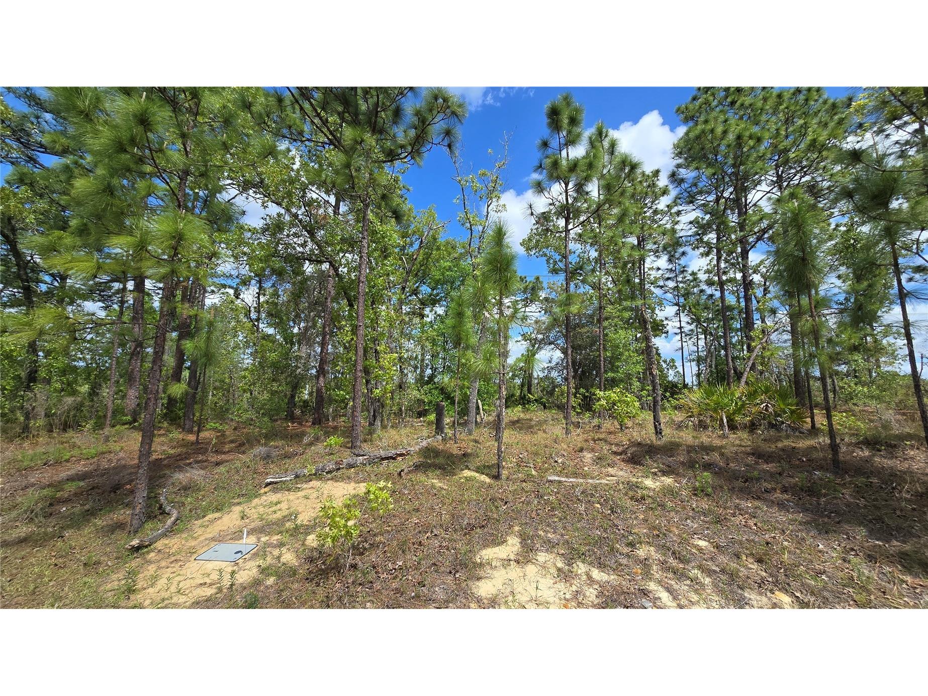 6745 N Darlington Drive Dunnellon FL 34434 OM704442 image14