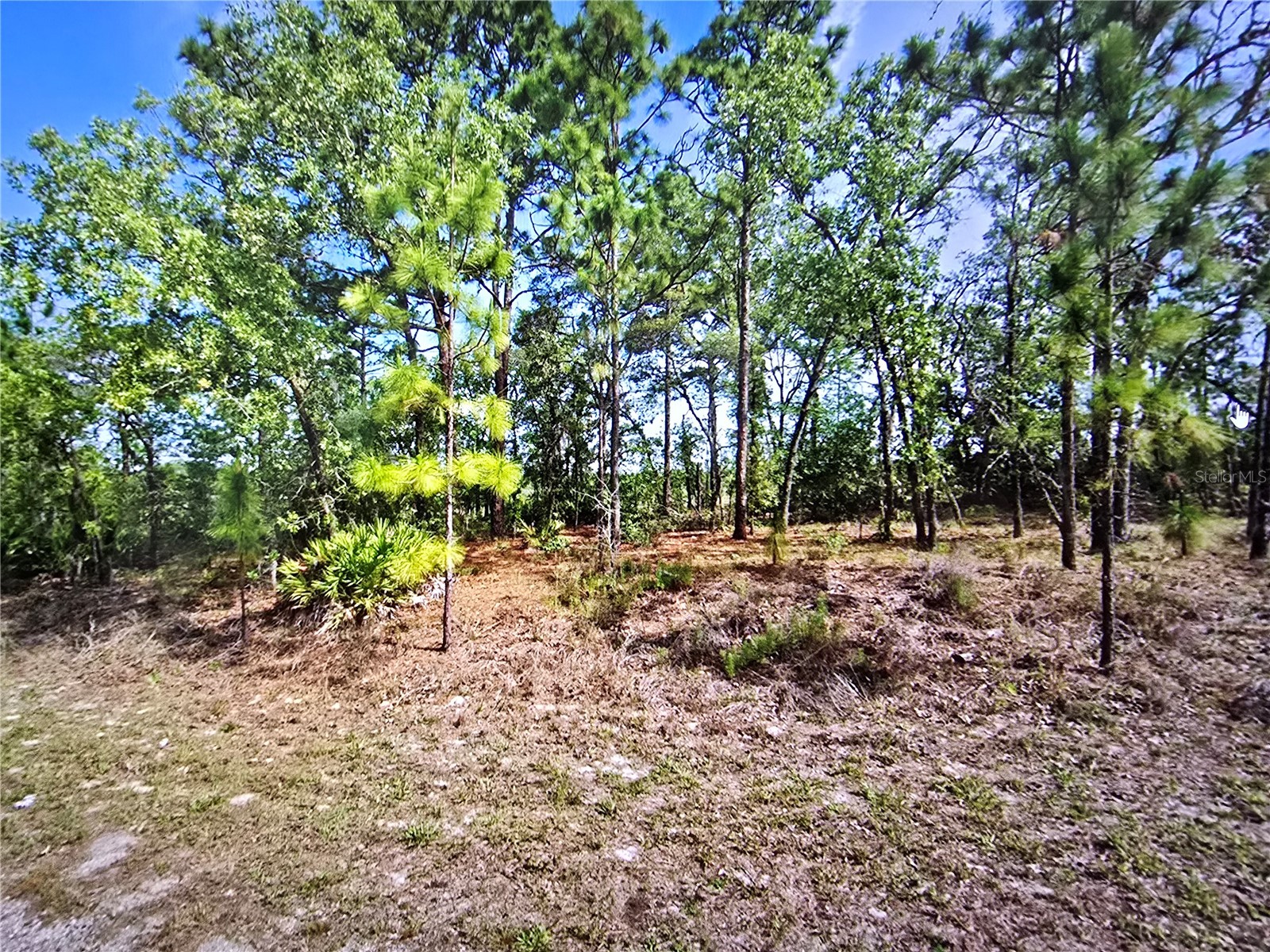 6745 N Darlington Drive Dunnellon FL 34434 OM704442 image7