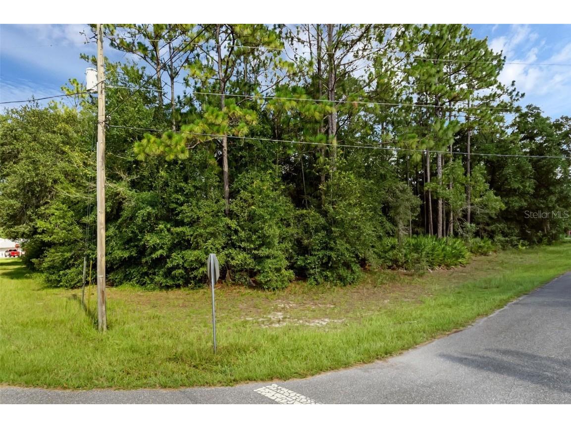 6745 N Nantucket Way Dunnellon FL 34434 S5131283 image3