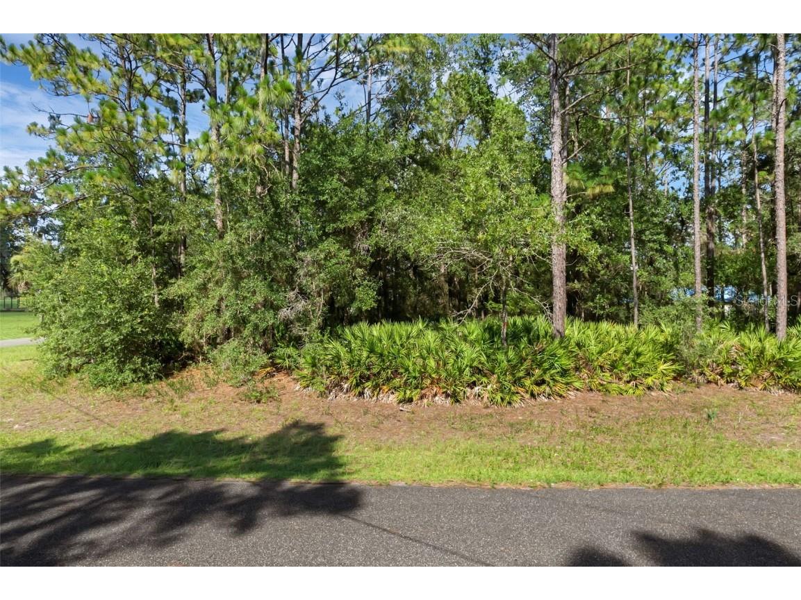 6745 N Nantucket Way Dunnellon FL 34434 S5131283 image6