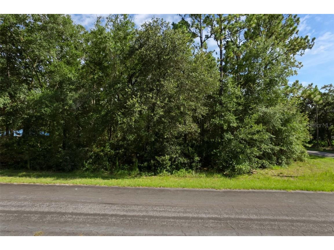 6745 N Nantucket Way Dunnellon FL 34434 S5131283 image7